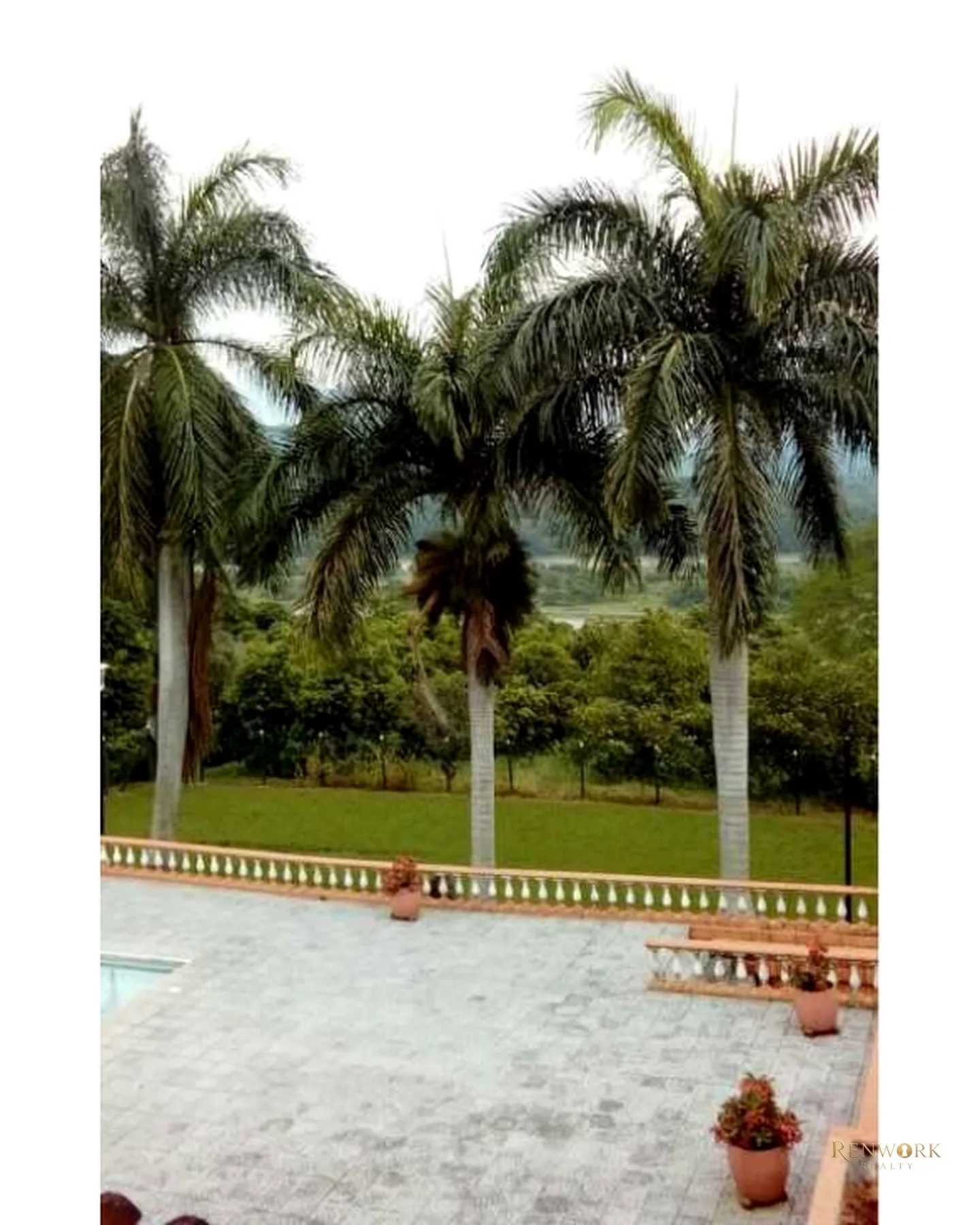 FINCA PARA LA VENTA EN LA PINTADA ( GRAN OPORTUNIDAD ) · foto 10