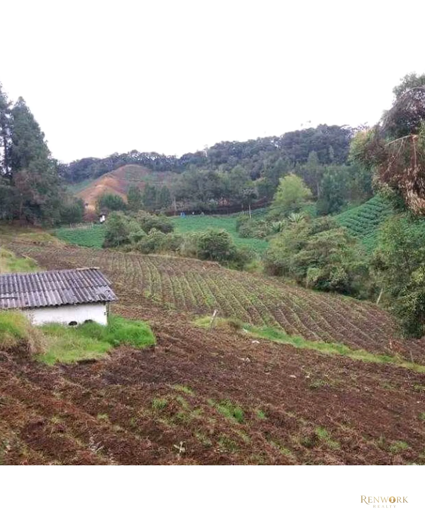 FINCA PRODUCTIVA EN VENTA VEREDA LAS PIEDRAS LA UNION · foto 13