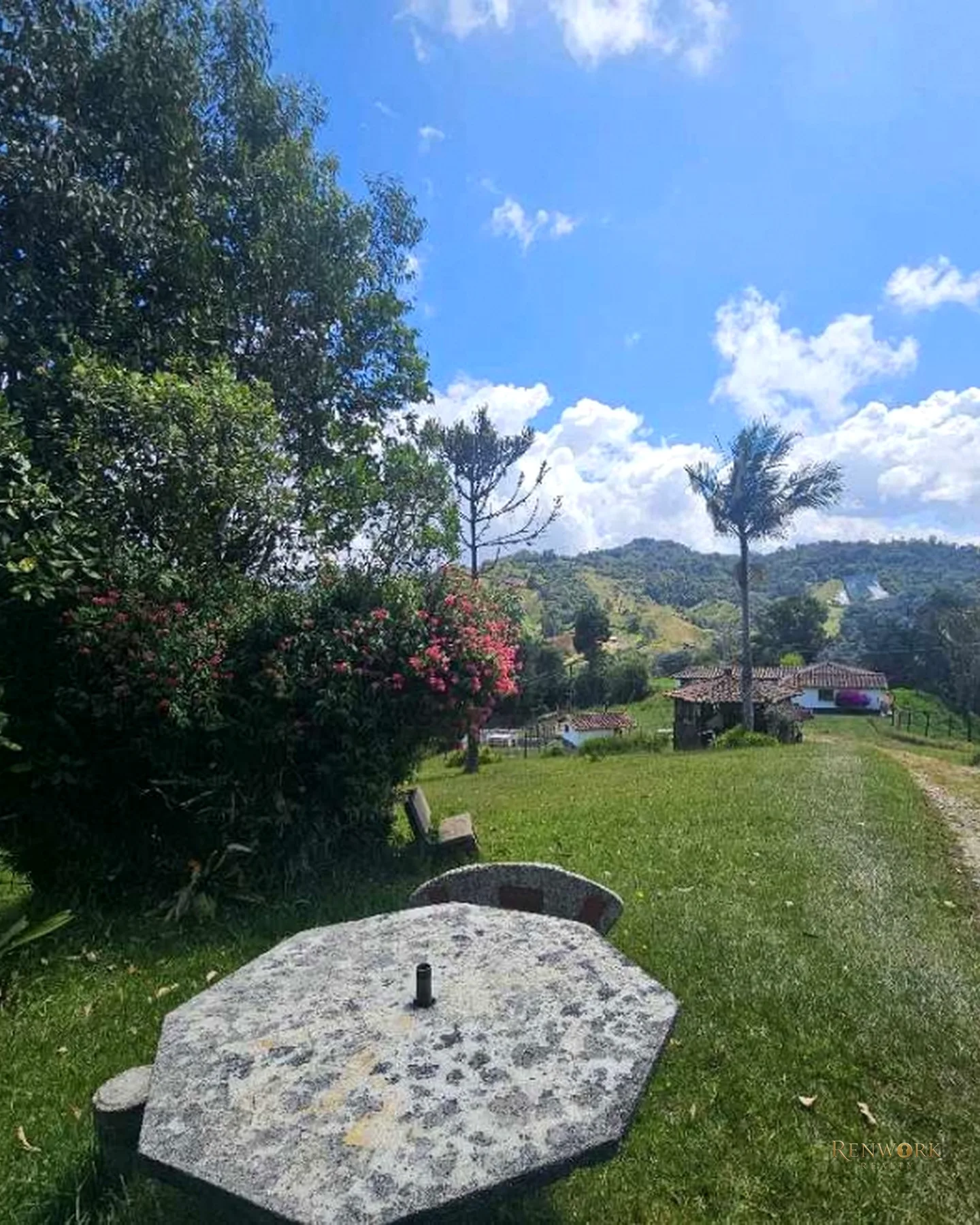 FINCA PRODUCTIVA EN VENTA VEREDA LAS PIEDRAS LA UNION · foto 19