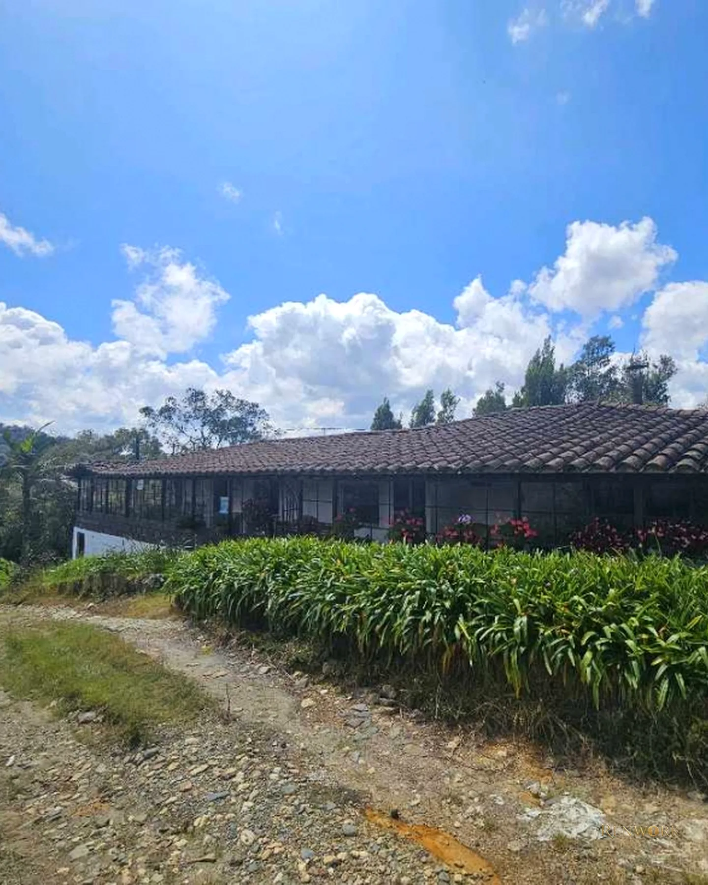FINCA PRODUCTIVA EN VENTA VEREDA LAS PIEDRAS LA UNION · foto 22