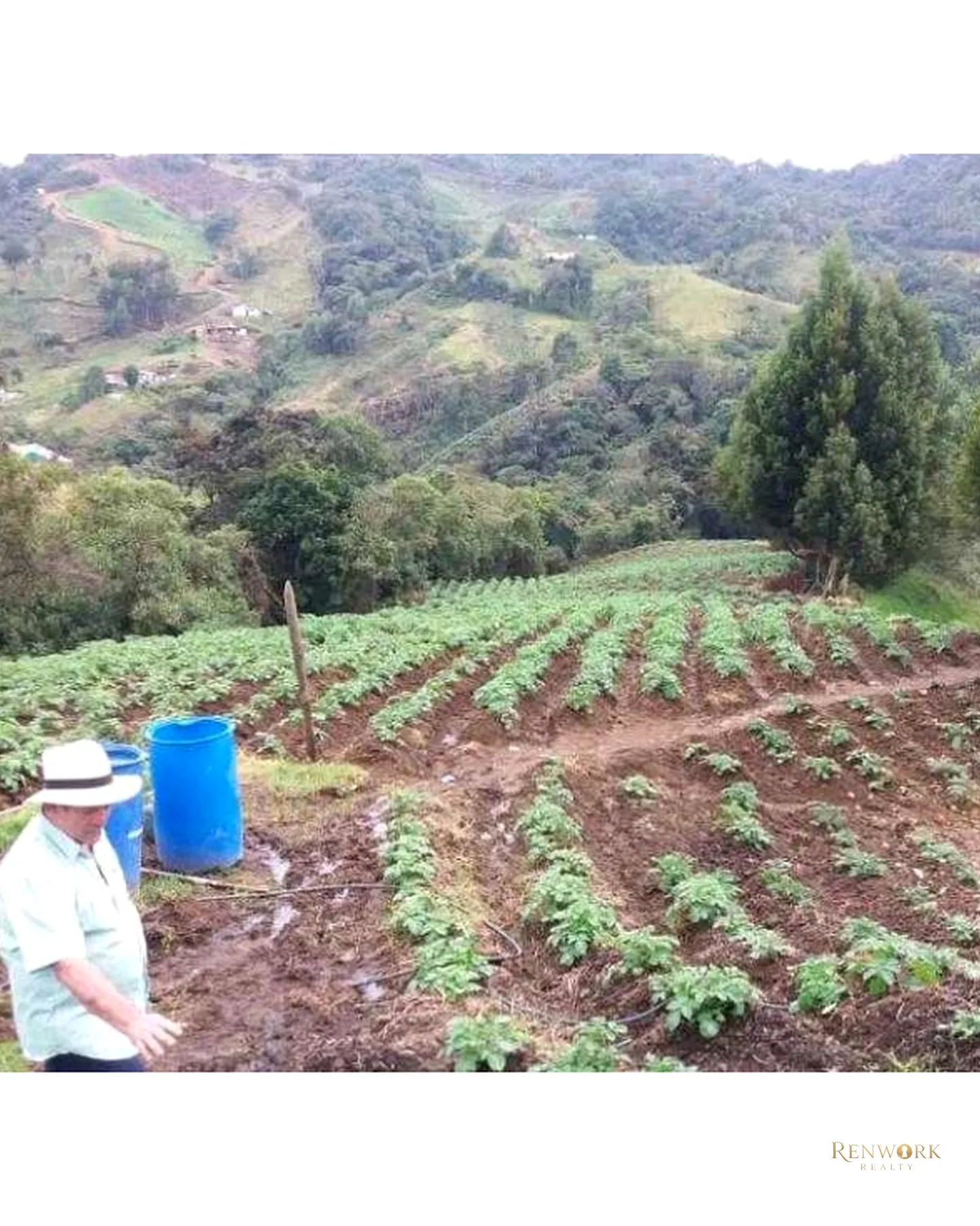 FINCA PRODUCTIVA EN VENTA VEREDA LAS PIEDRAS LA UNION · foto 11