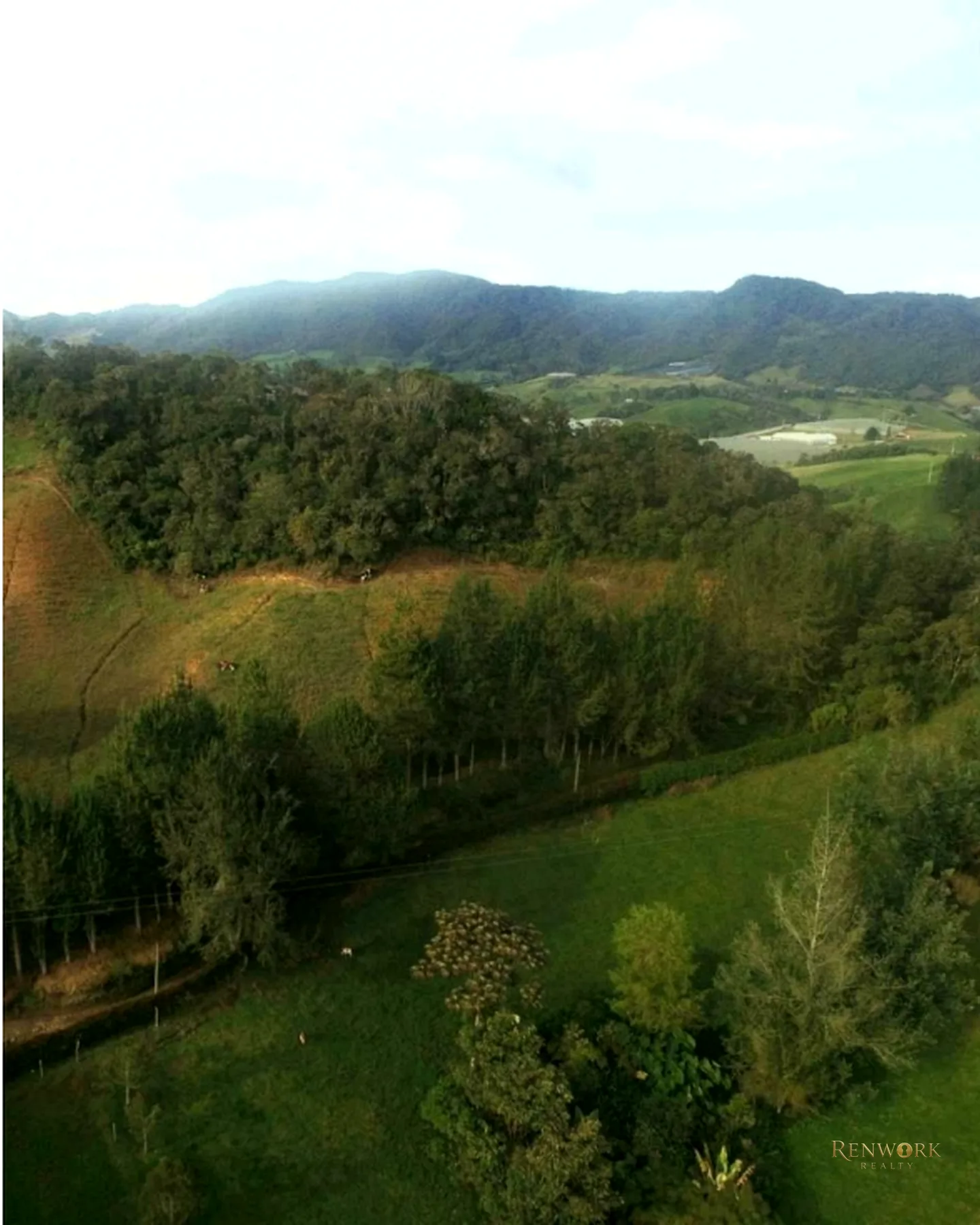 FINCA PRODUCTIVA EN VENTA VEREDA LAS PIEDRAS LA UNION · foto 14