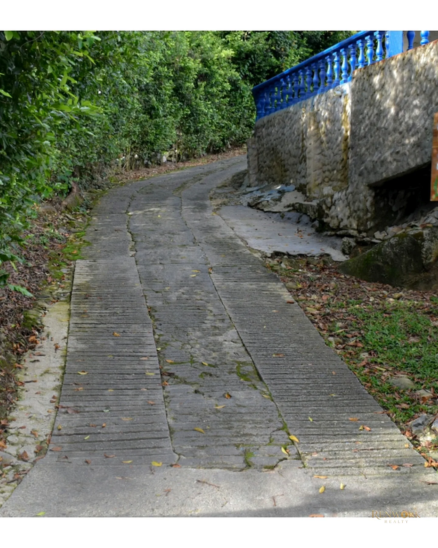 FINCA SAN RAFAEL ZONA URBANA · foto 19