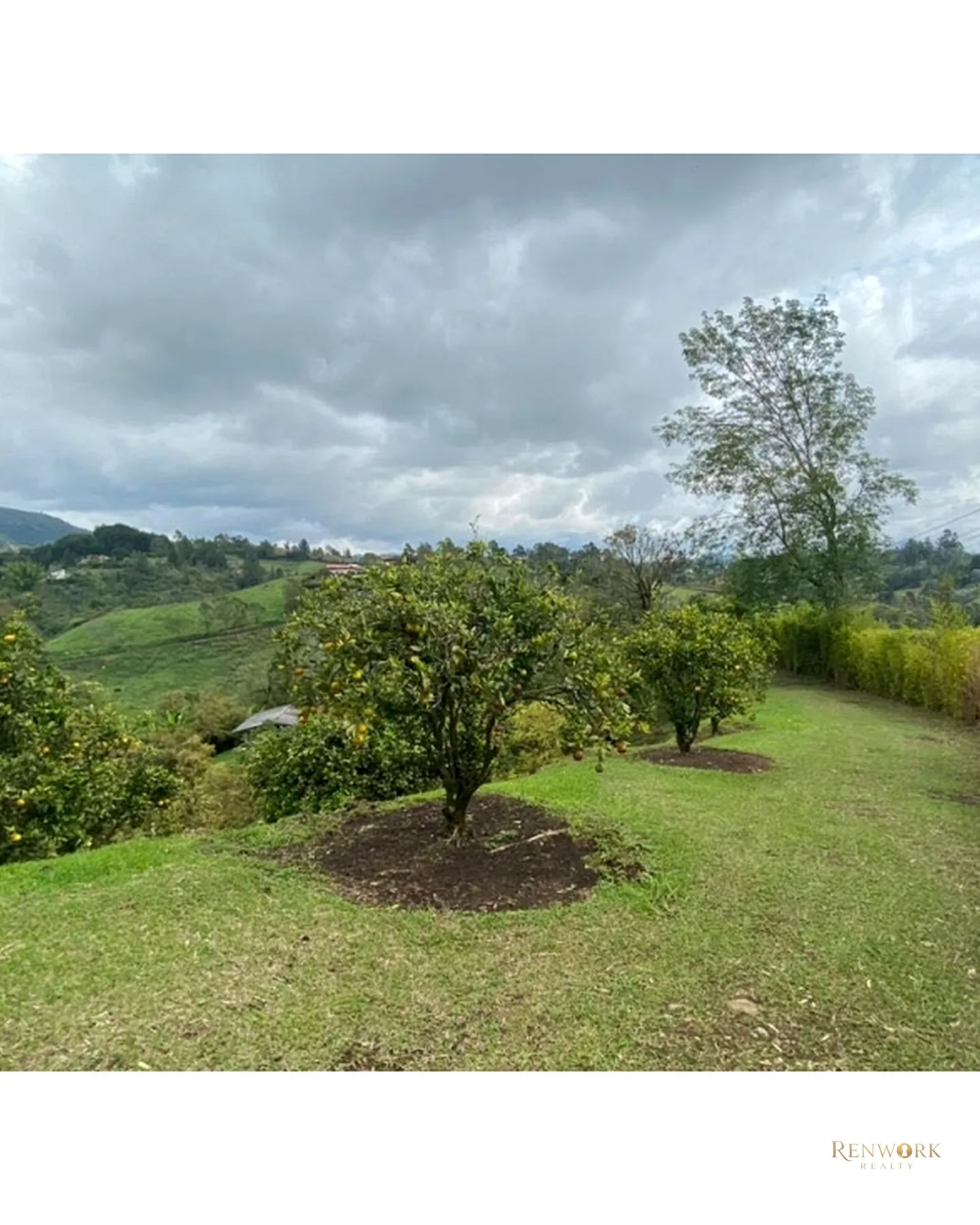 FINCA VEREDA GUAMITO GUARNE PARA SUBDIVIDIR · foto 15