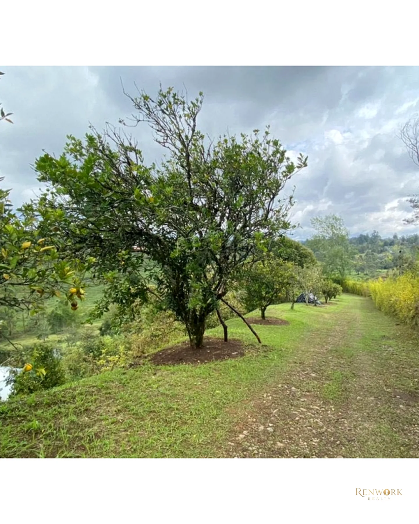FINCA VEREDA GUAMITO GUARNE PARA SUBDIVIDIR · foto 18