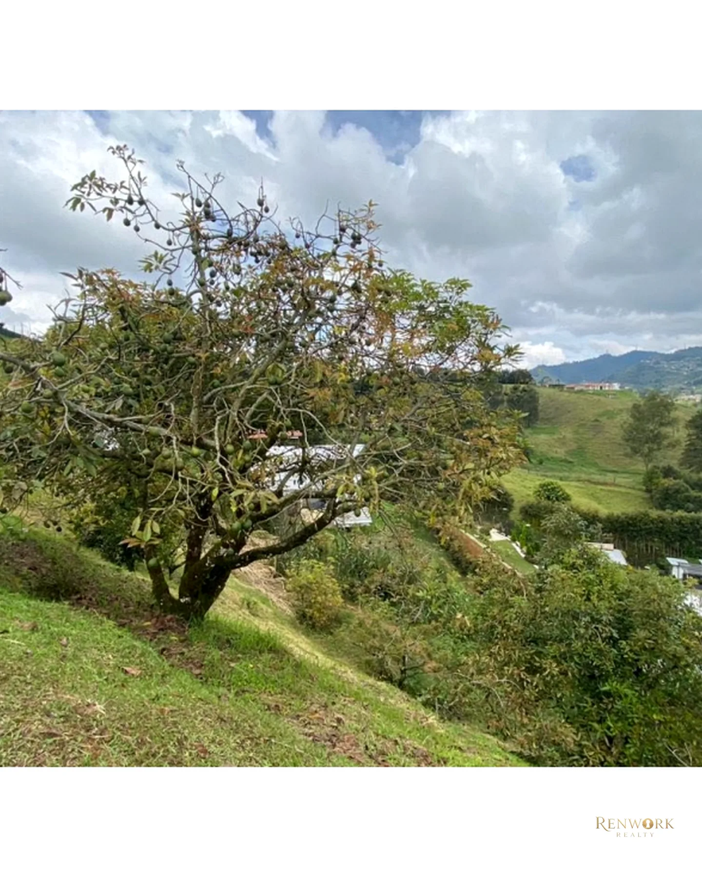FINCA VEREDA GUAMITO GUARNE PARA SUBDIVIDIR · foto 16