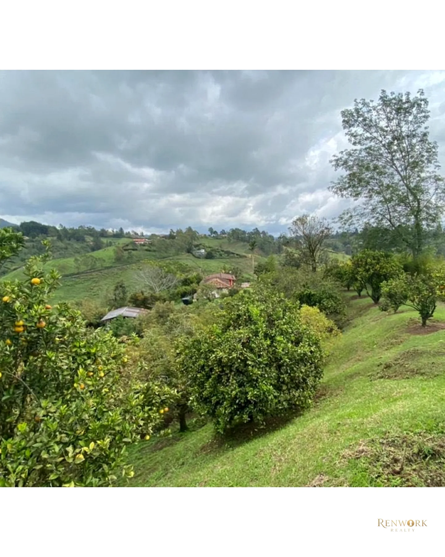 FINCA VEREDA GUAMITO GUARNE PARA SUBDIVIDIR · foto 17