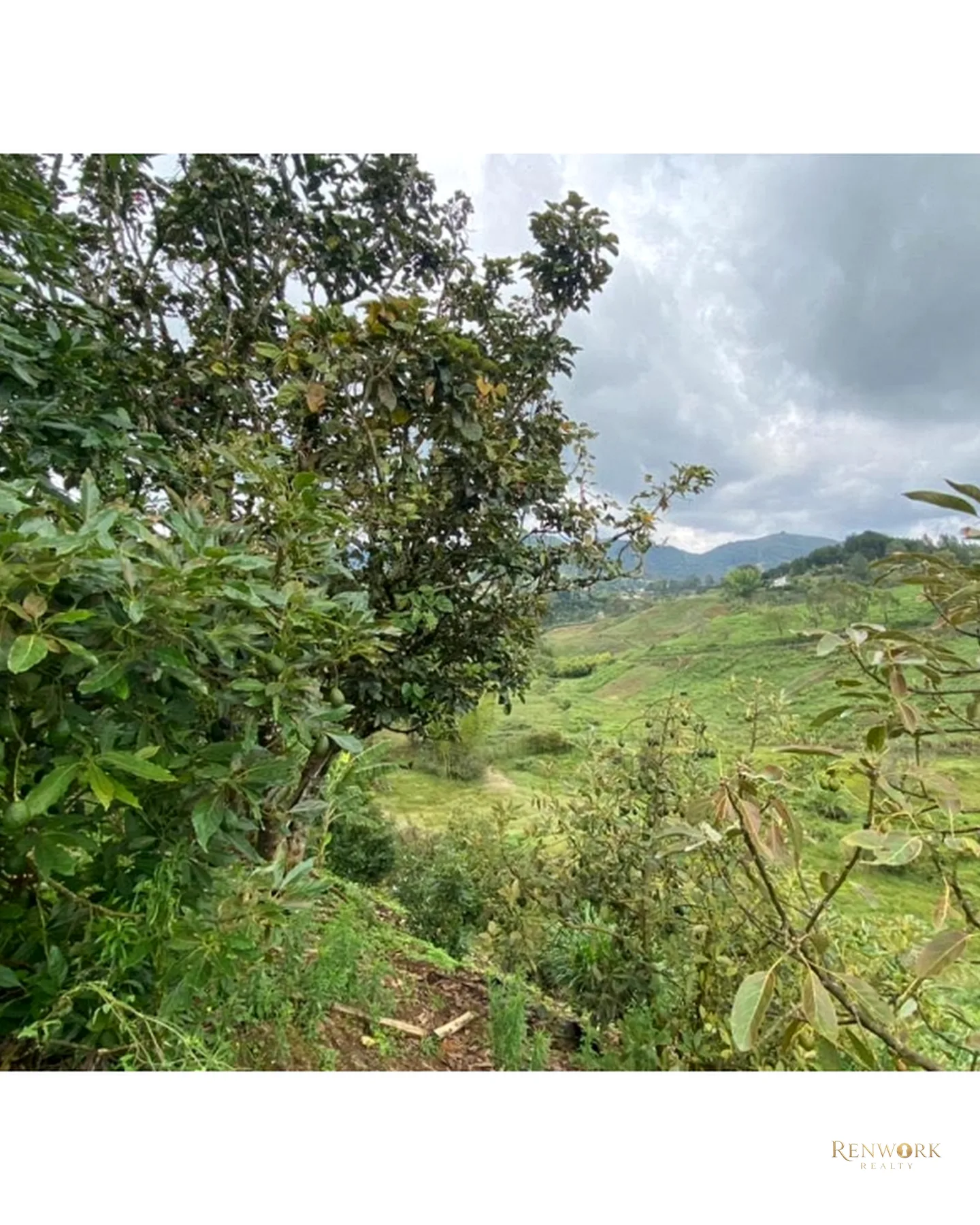 FINCA VEREDA GUAMITO GUARNE PARA SUBDIVIDIR · foto 11