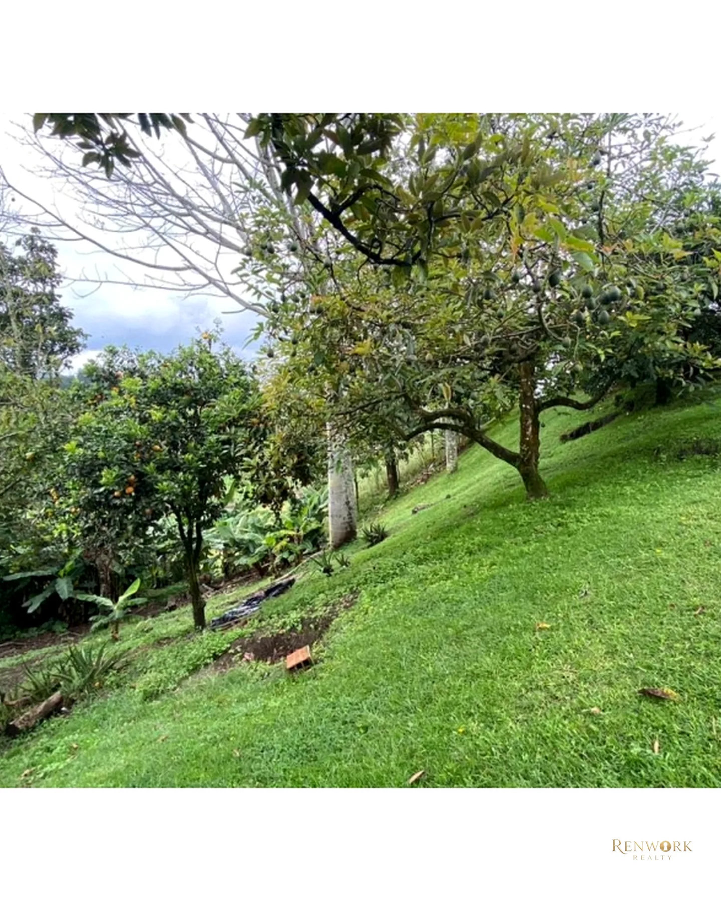FINCA VEREDA GUAMITO GUARNE PARA SUBDIVIDIR · foto 7