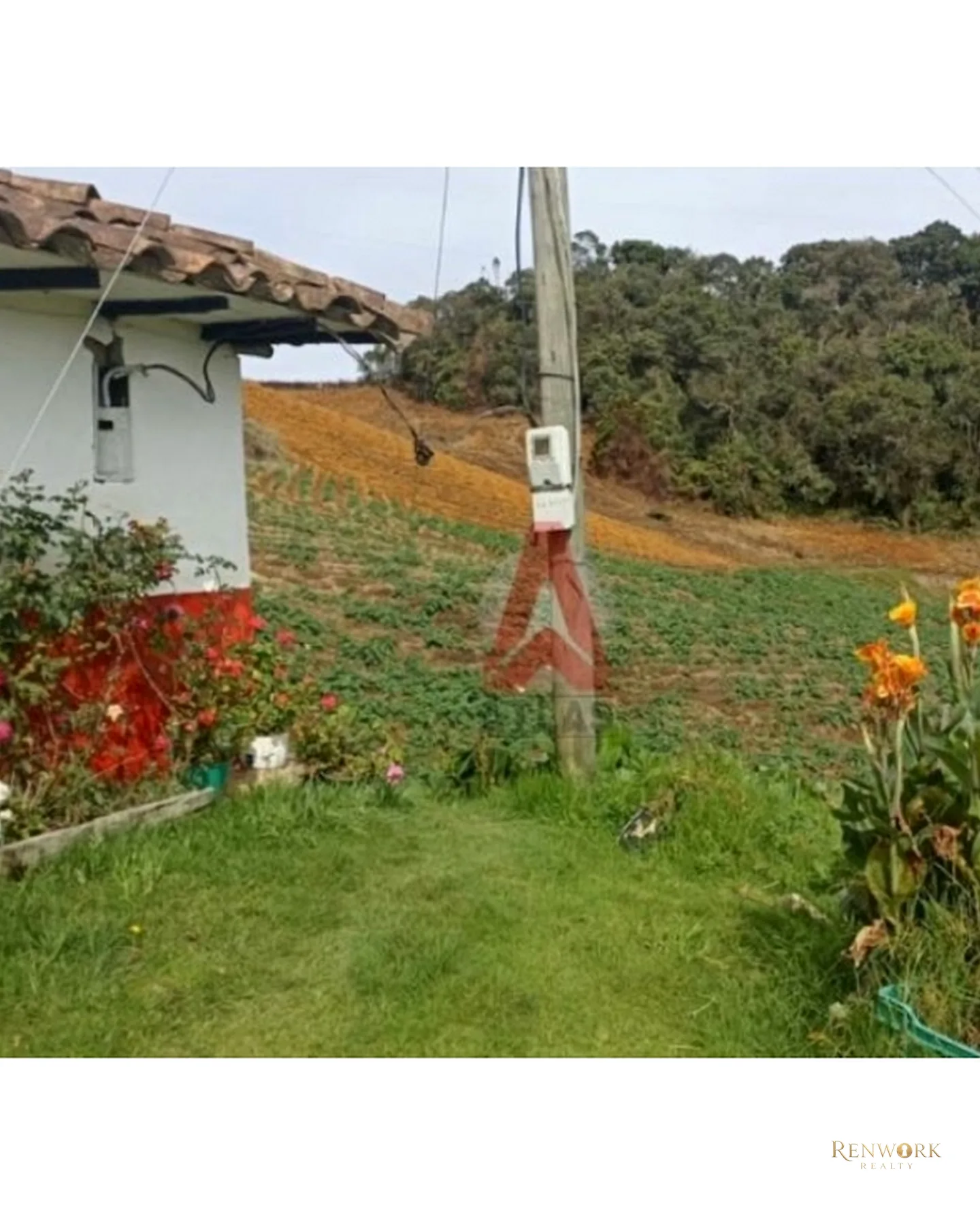 HERMOSA CASA FINCA AGRÍCOLA EN VENTA LA UNIÓN ANTIOQUIA - OPORTUNIDAD. · foto 2