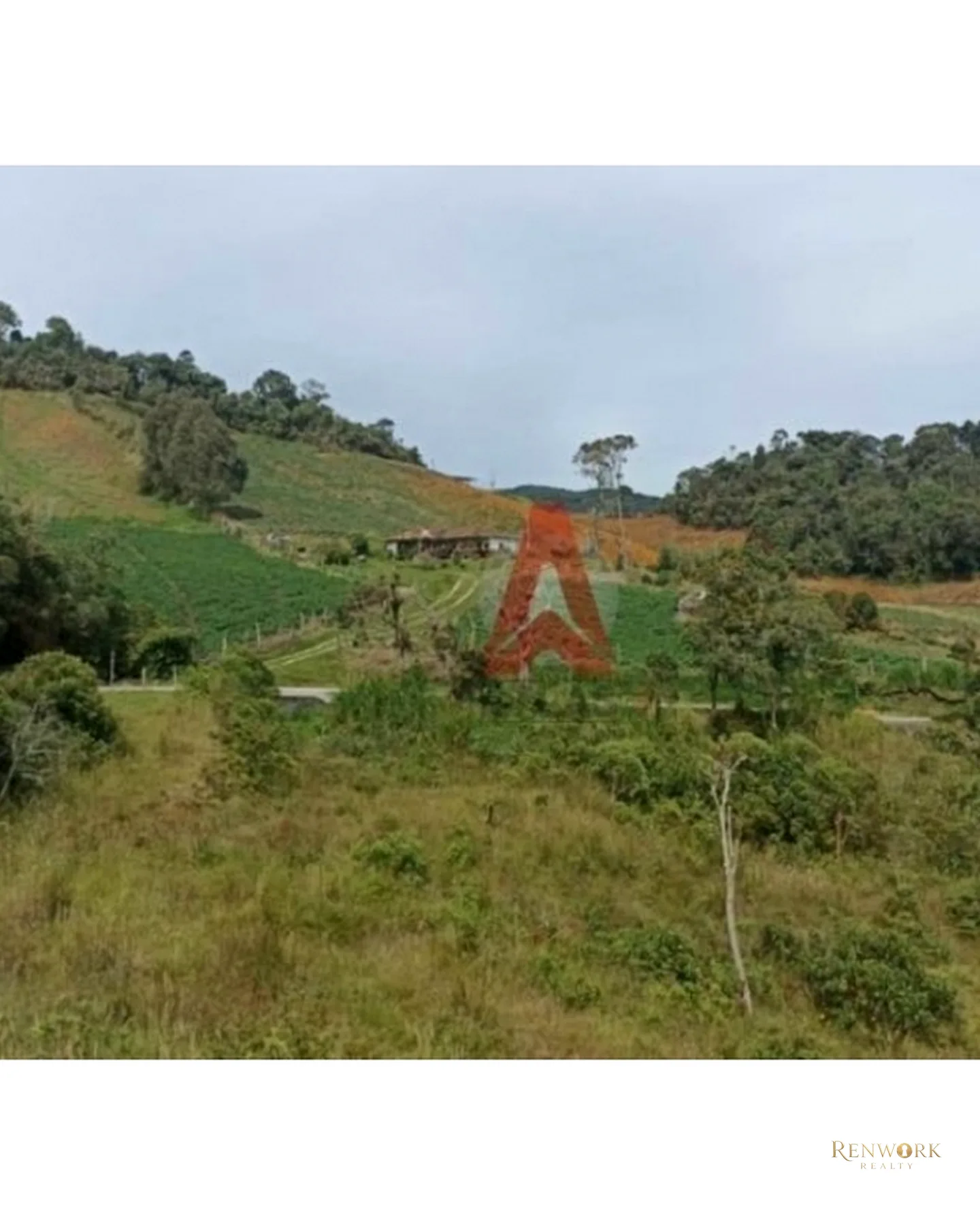 HERMOSA CASA FINCA AGRÍCOLA EN VENTA LA UNIÓN ANTIOQUIA - OPORTUNIDAD. · foto 5