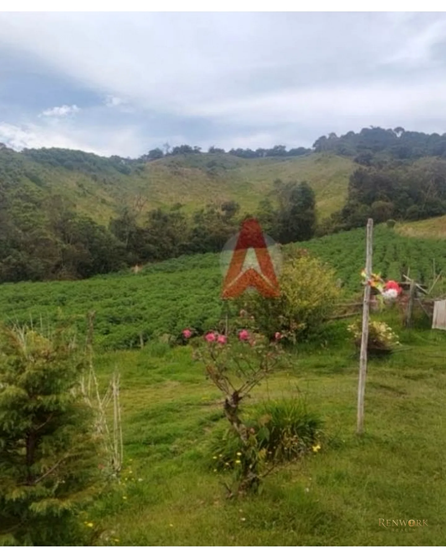 HERMOSA CASA FINCA AGRÍCOLA EN VENTA LA UNIÓN ANTIOQUIA - OPORTUNIDAD. · foto 8