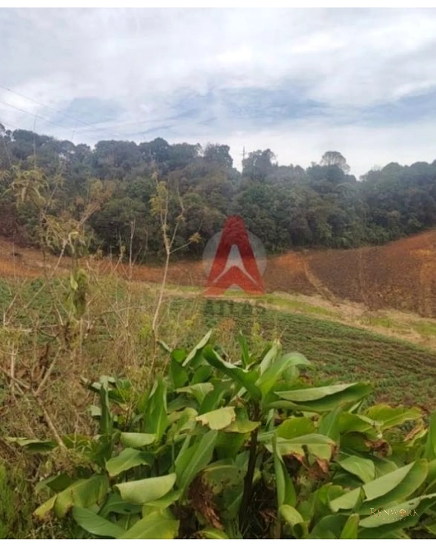 HERMOSA CASA FINCA AGRÍCOLA EN VENTA LA UNIÓN ANTIOQUIA - OPORTUNIDAD. · foto 9