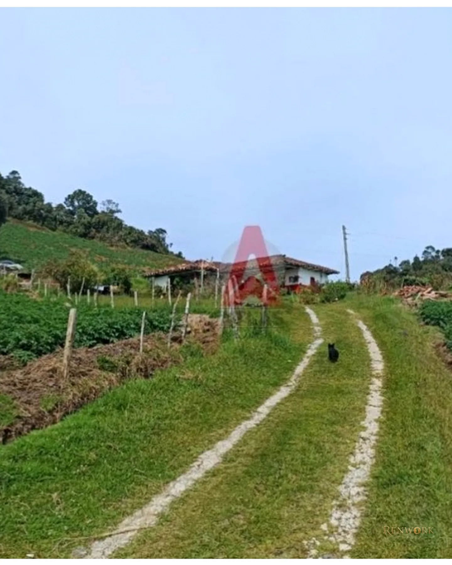 HERMOSA CASA FINCA AGRÍCOLA EN VENTA LA UNIÓN ANTIOQUIA - OPORTUNIDAD. · foto 4