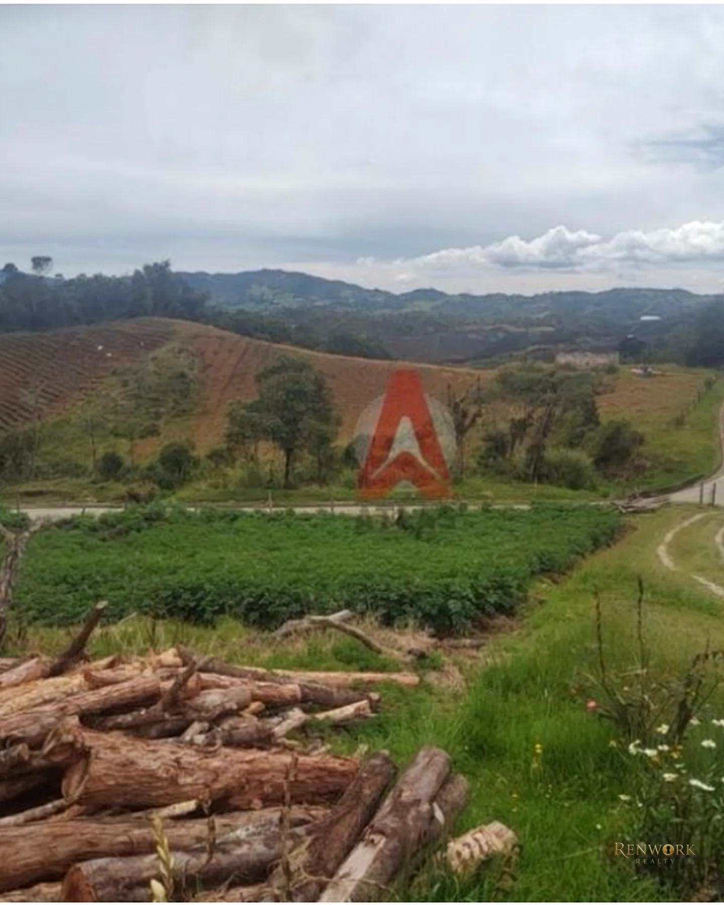 HERMOSA CASA FINCA AGRÍCOLA EN VENTA LA UNIÓN ANTIOQUIA - OPORTUNIDAD. · foto 3
