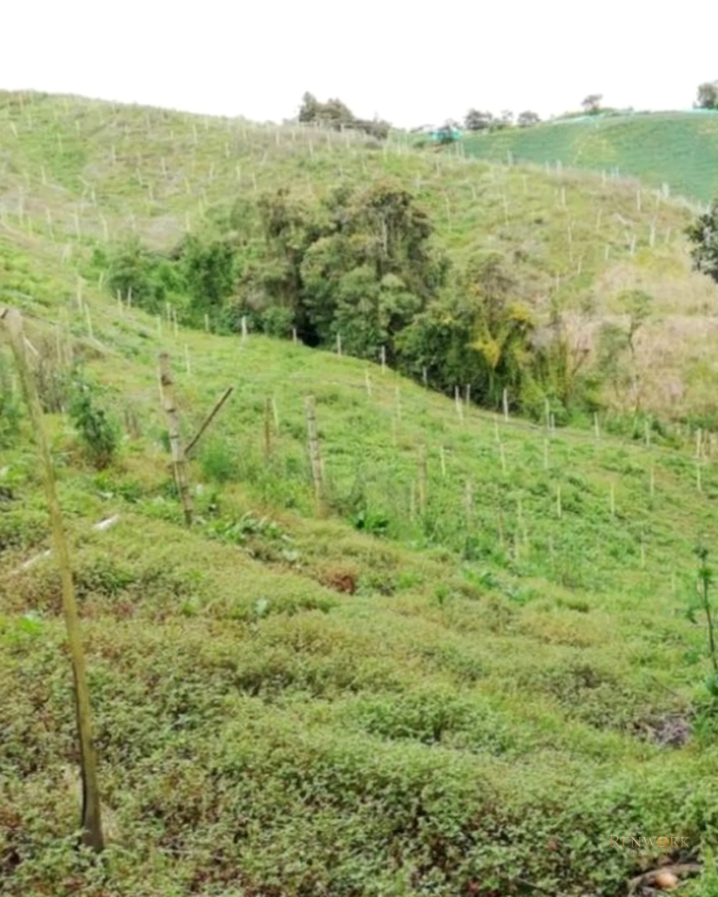 HERMOSA FINCA EN VENTA EN EL MUNICIPIO DE LA UNIÓN ANTIOQUIA ~ · foto 5