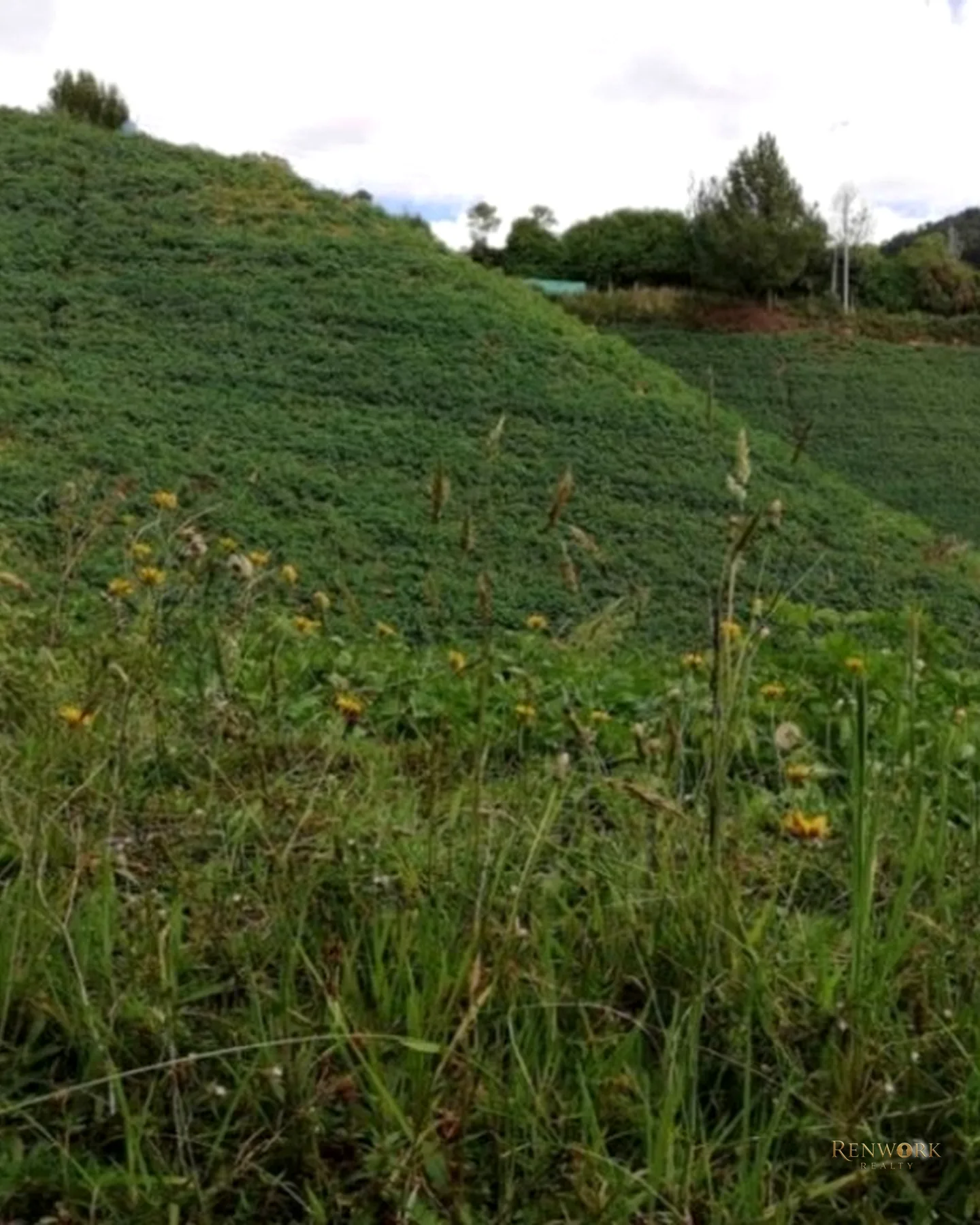HERMOSA FINCA EN VENTA EN EL MUNICIPIO DE LA UNIÓN ANTIOQUIA ~ · foto 4