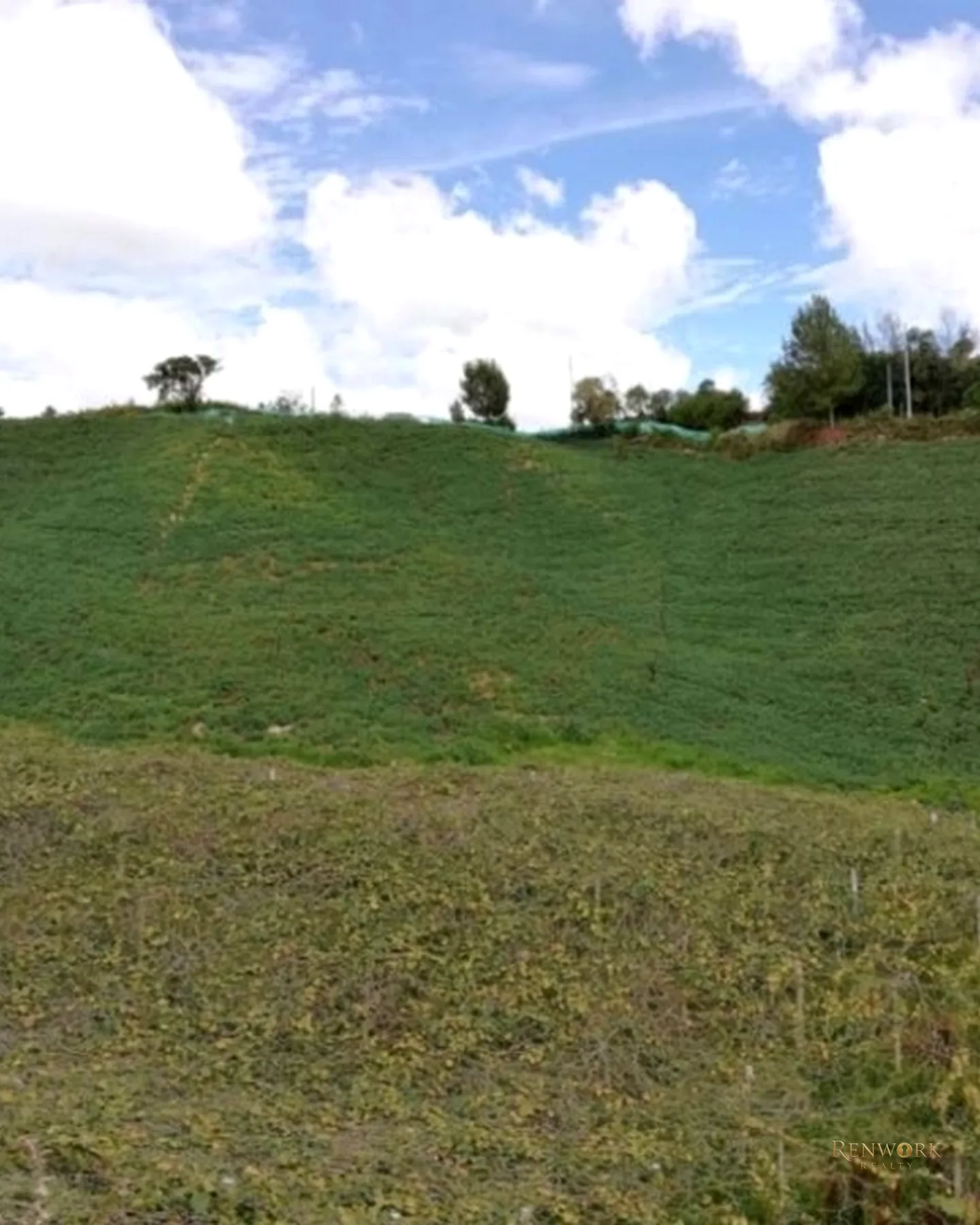 HERMOSA FINCA EN VENTA EN EL MUNICIPIO DE LA UNIÓN ANTIOQUIA ~ · foto 2