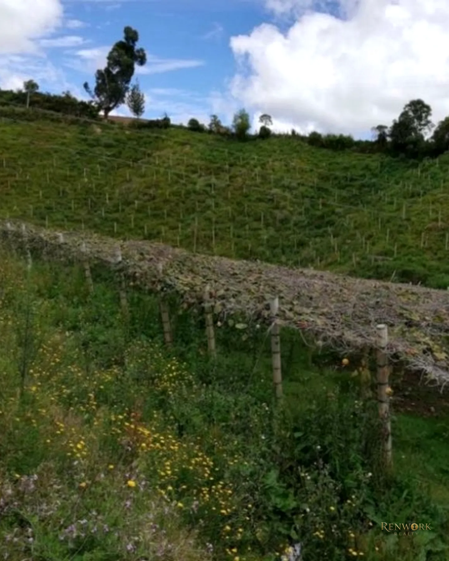 HERMOSA FINCA EN VENTA EN EL MUNICIPIO DE LA UNIÓN ANTIOQUIA ~ · foto 8