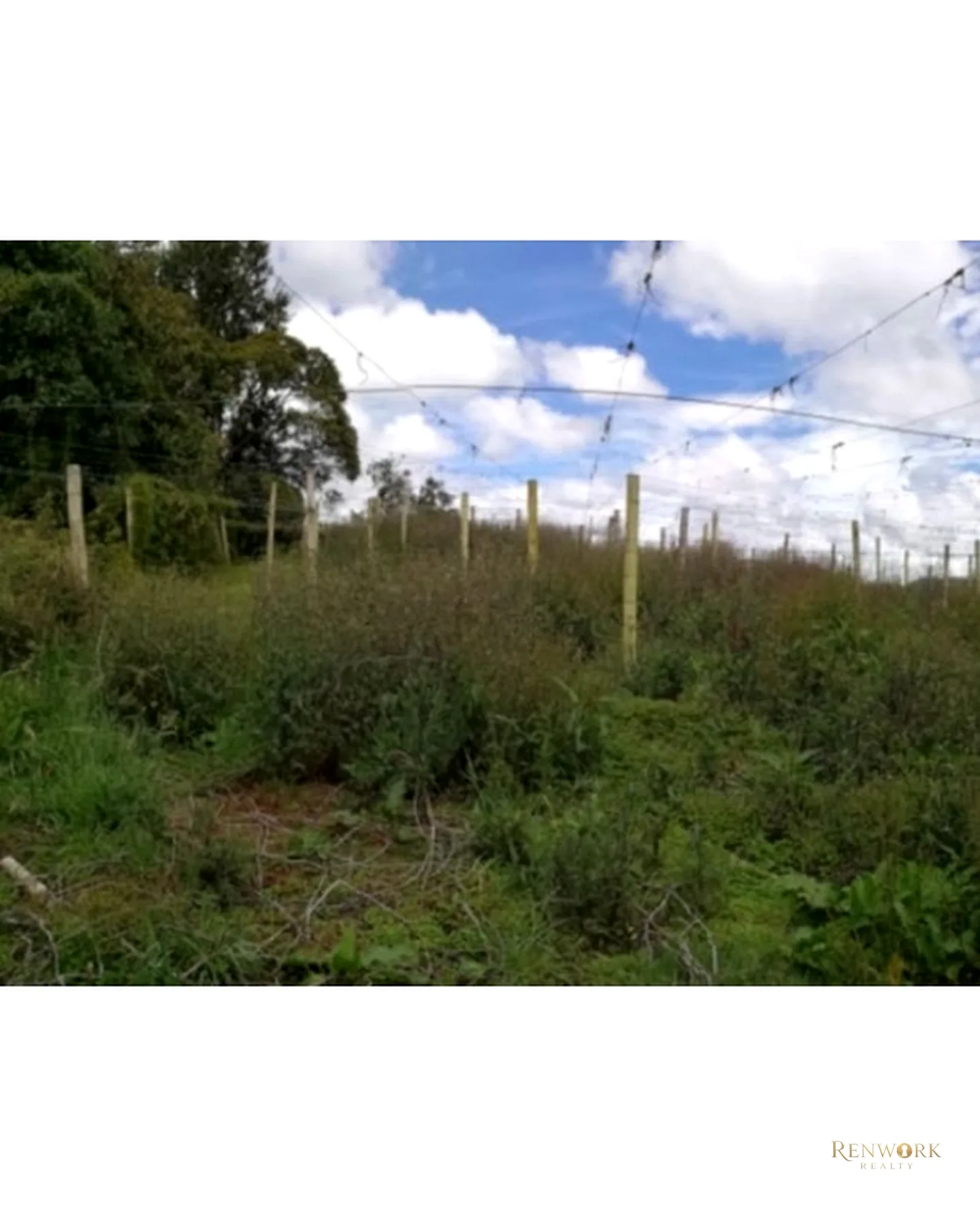 HERMOSA FINCA EN VENTA EN EL MUNICIPIO DE LA UNIÓN ANTIOQUIA ~ · foto 7