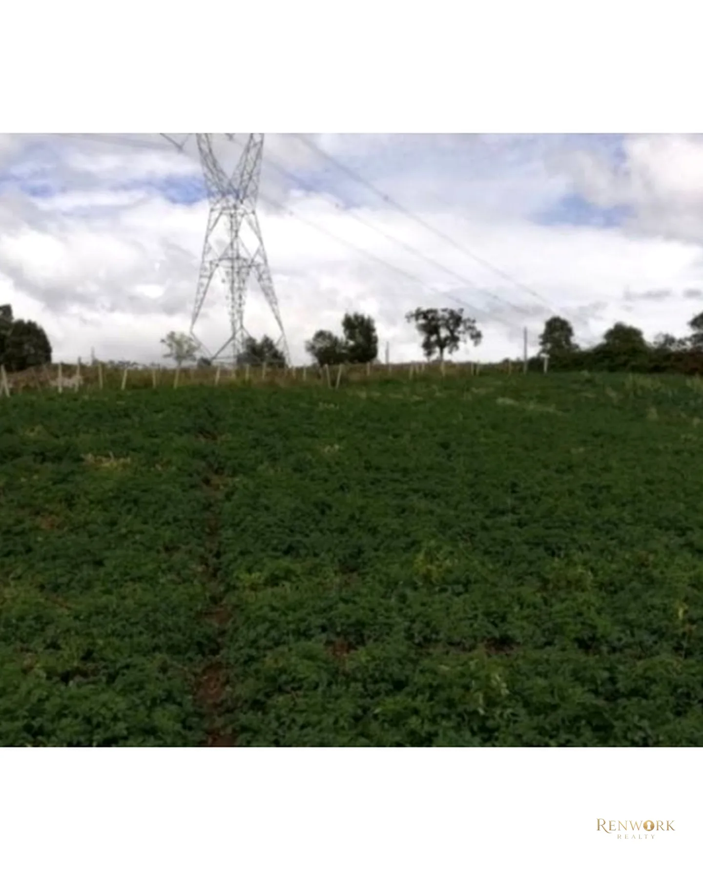 HERMOSA FINCA EN VENTA EN EL MUNICIPIO DE LA UNIÓN ANTIOQUIA ~ · foto 6
