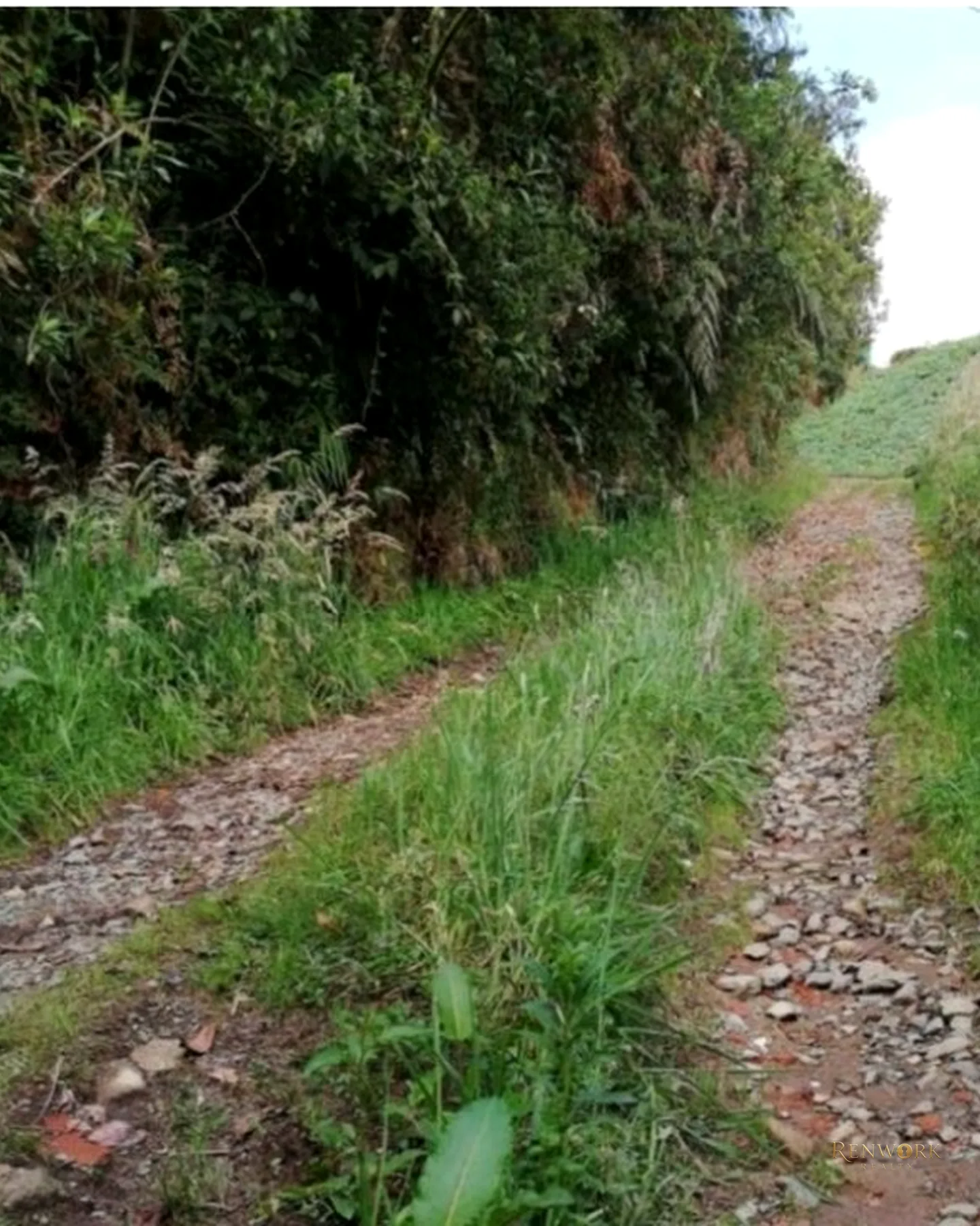 HERMOSA FINCA EN VENTA EN EL MUNICIPIO DE LA UNIÓN ANTIOQUIA ~ · foto 10