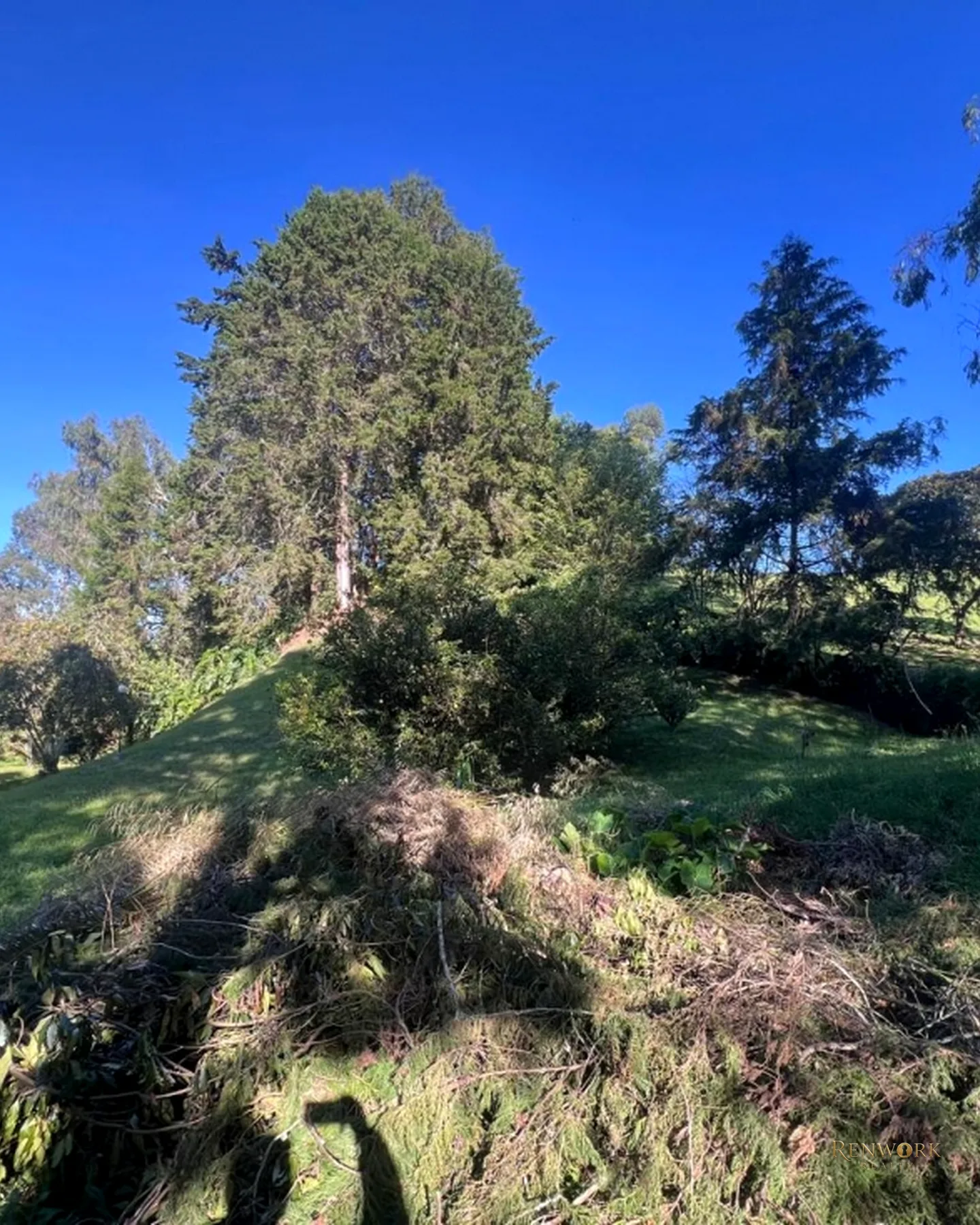 HERMOSA FINCA EN VENTA - RANCHERIA · foto 5