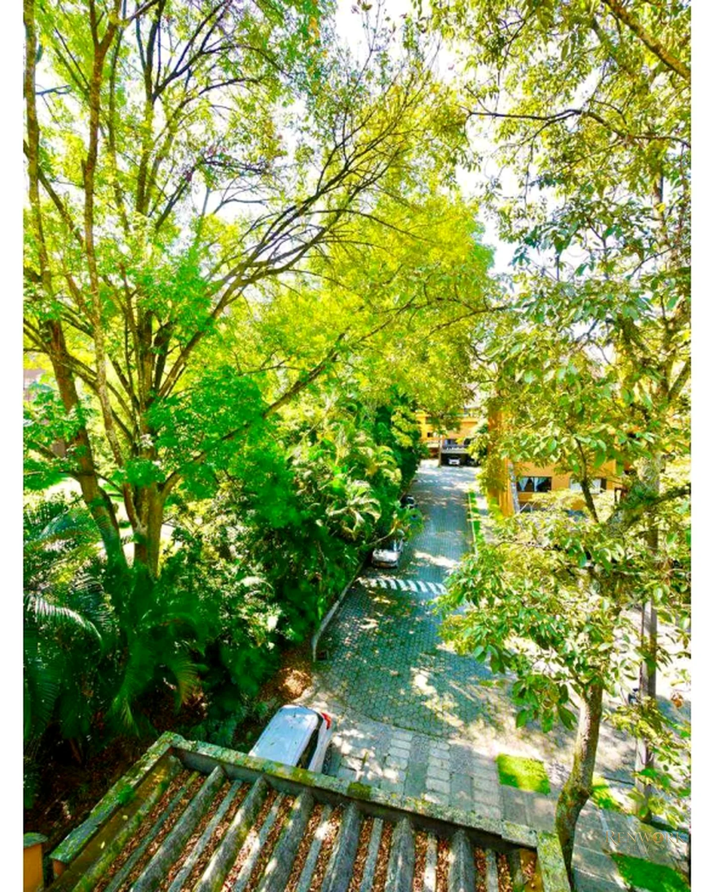HERMOSO DUPLEX TIPO CASA SECTOR LA FRONTERA · foto 14