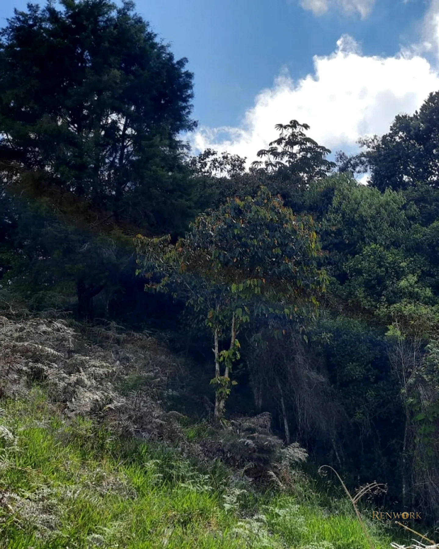 LOTES EN VENTA EN JERICO, ANTIOQUIA · foto 3