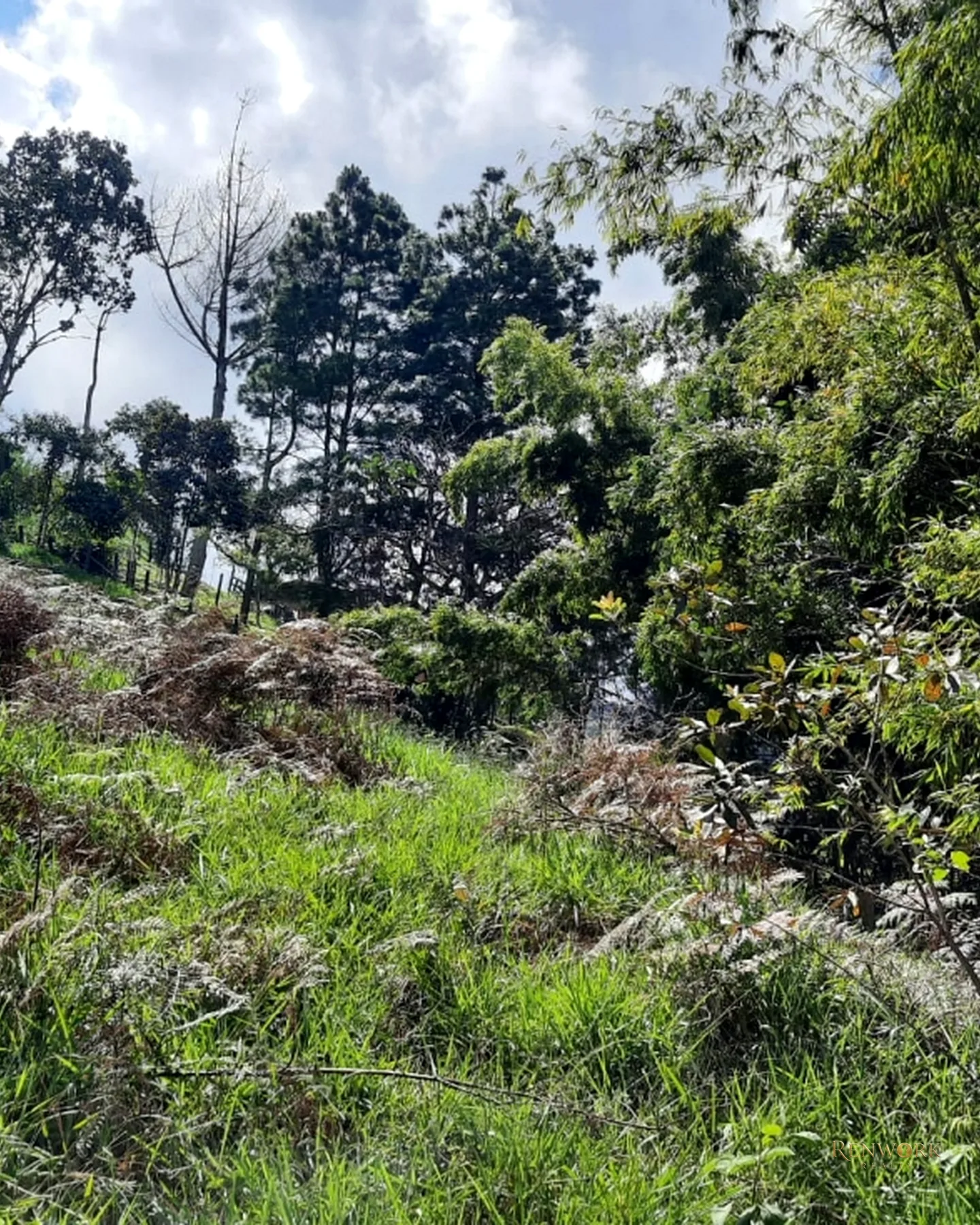 LOTES EN VENTA EN JERICO, ANTIOQUIA · foto 6