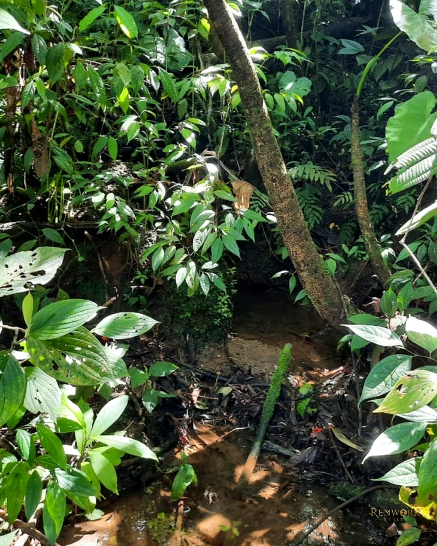 LOTES EN VENTA EN JERICO, ANTIOQUIA · foto 9