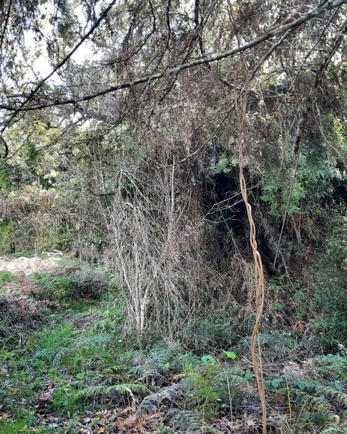 LOTES EN VENTA EN JERICO, ANTIOQUIA · foto 4