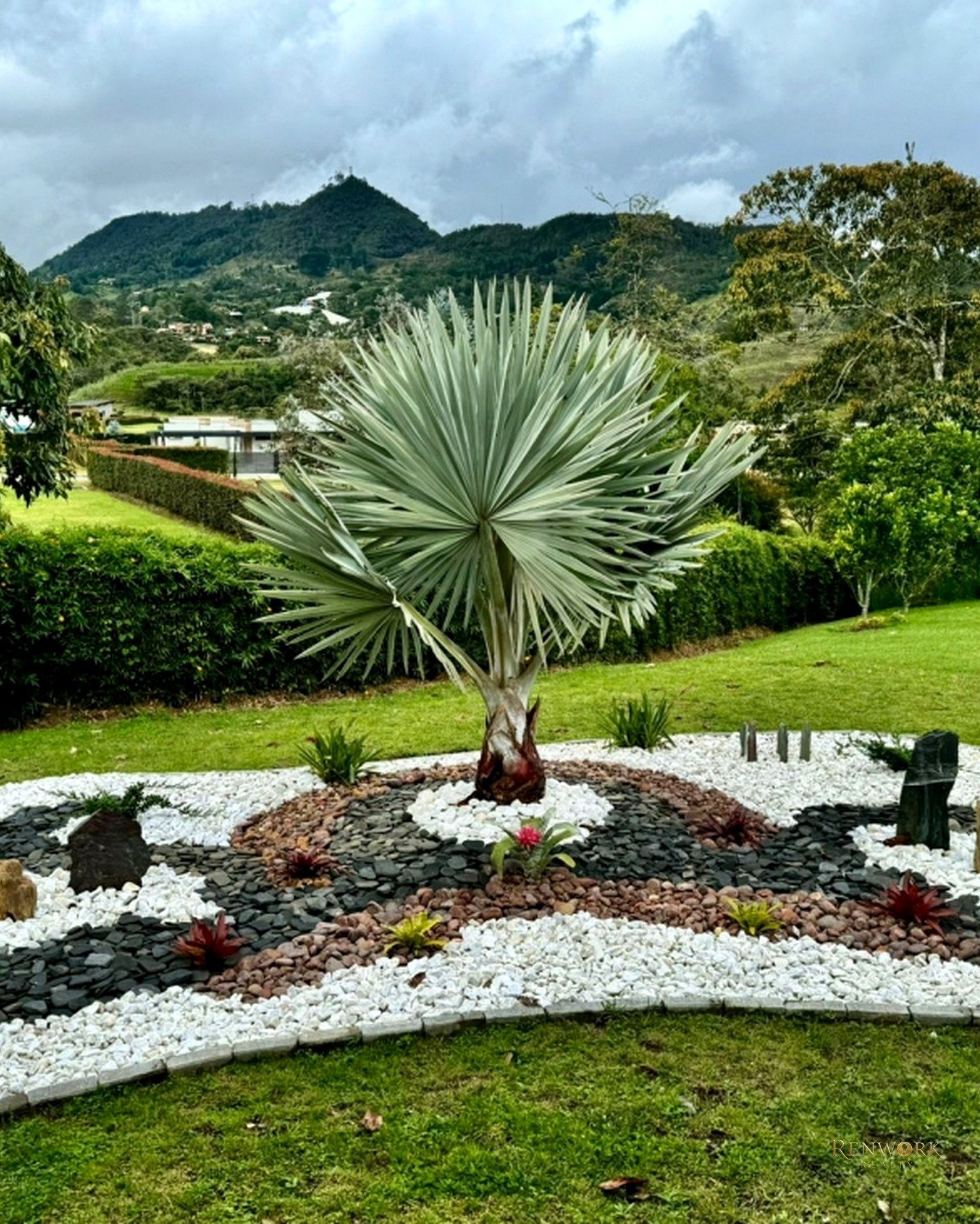 OFRECEMOS PARA VENTA SECTOR LLANO GRANDE · foto 10
