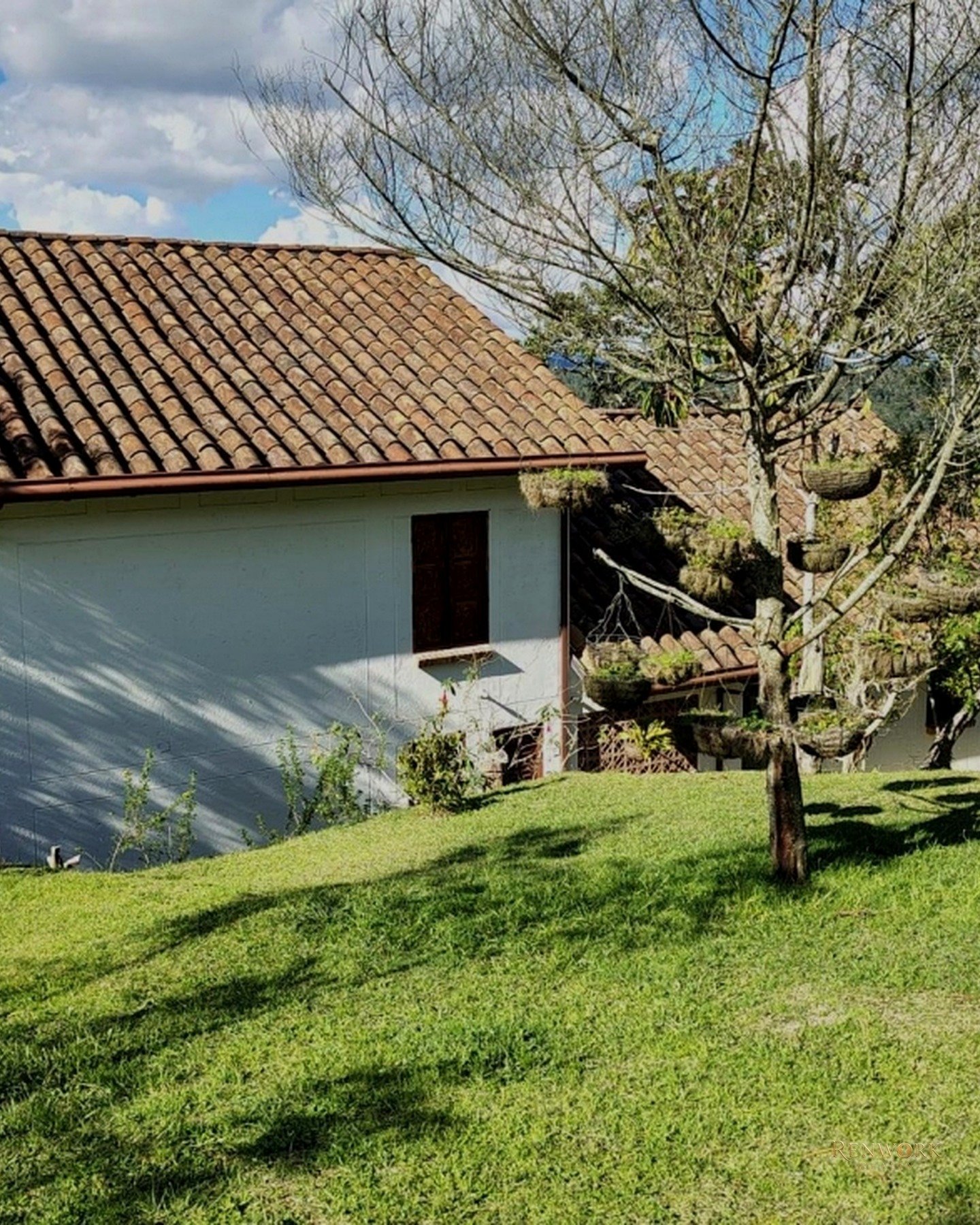 SANTA ELENA: PARAÍSO NATURAL CASA CON MUY BUENA LUZ NATURAL · foto 14