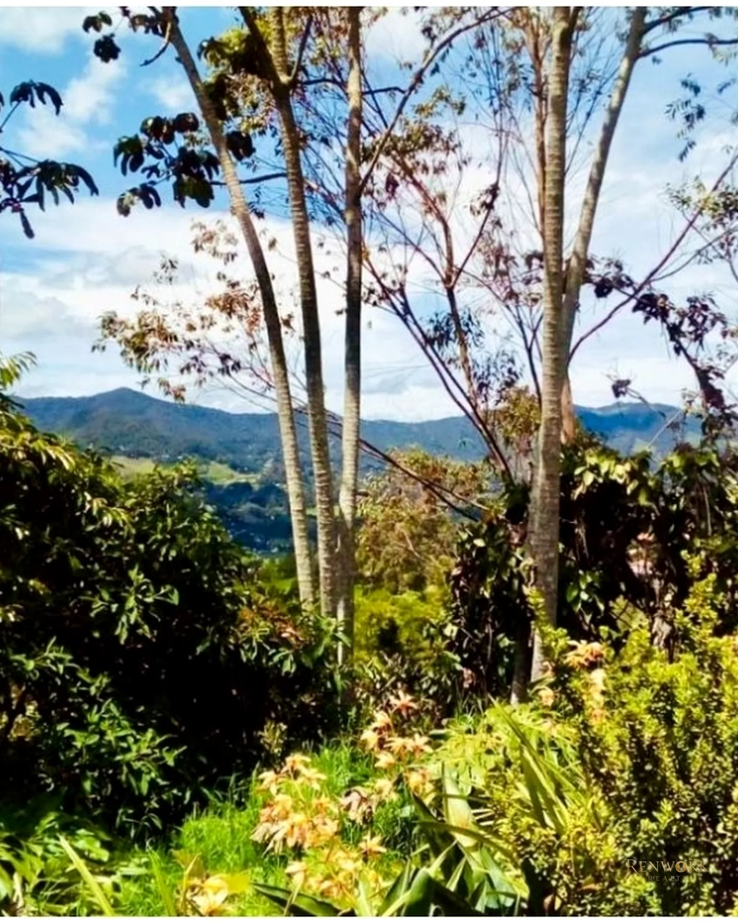 SE VENDE CASA FINCA EN RIONEGRO ANTIOQUIA · foto 11