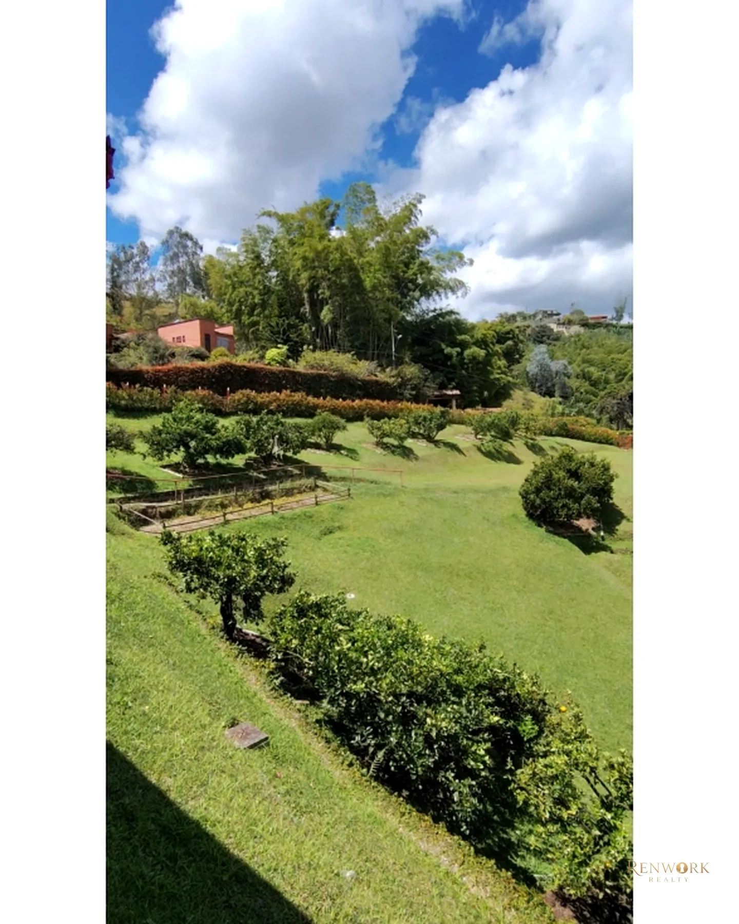 SE VENDE FINCA EN EL PEÑOL VEREDA HORIZONTES · foto 11