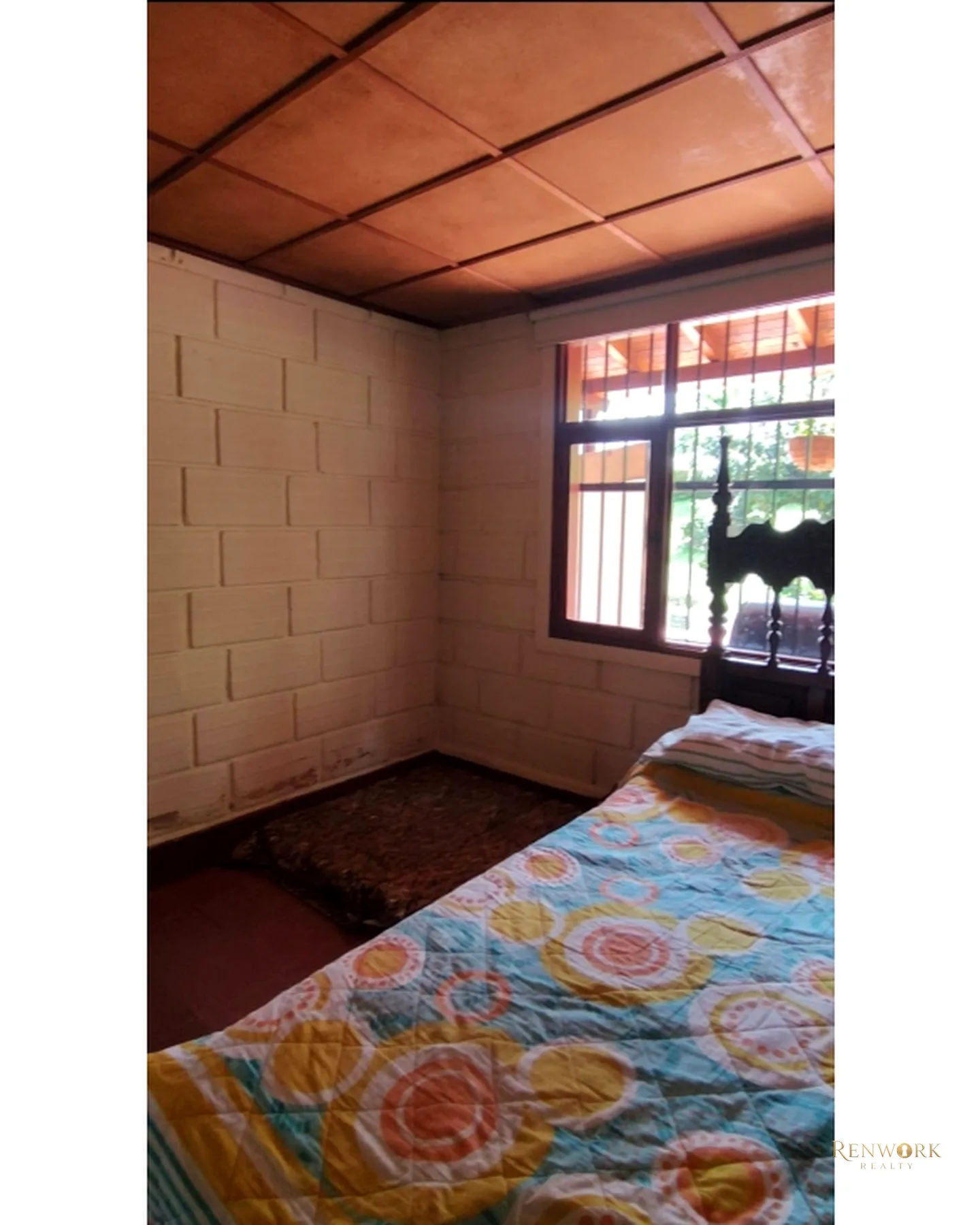 SE VENDE FINCA EN EL PEÑOL VEREDA HORIZONTES · foto 8