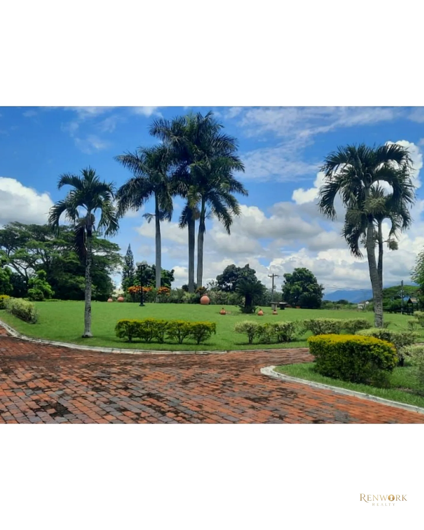 VENCAMBIO FINCA SECTOR HOLGUÍN, LA VICTORIA VALLE DEL CAUCA · foto 16