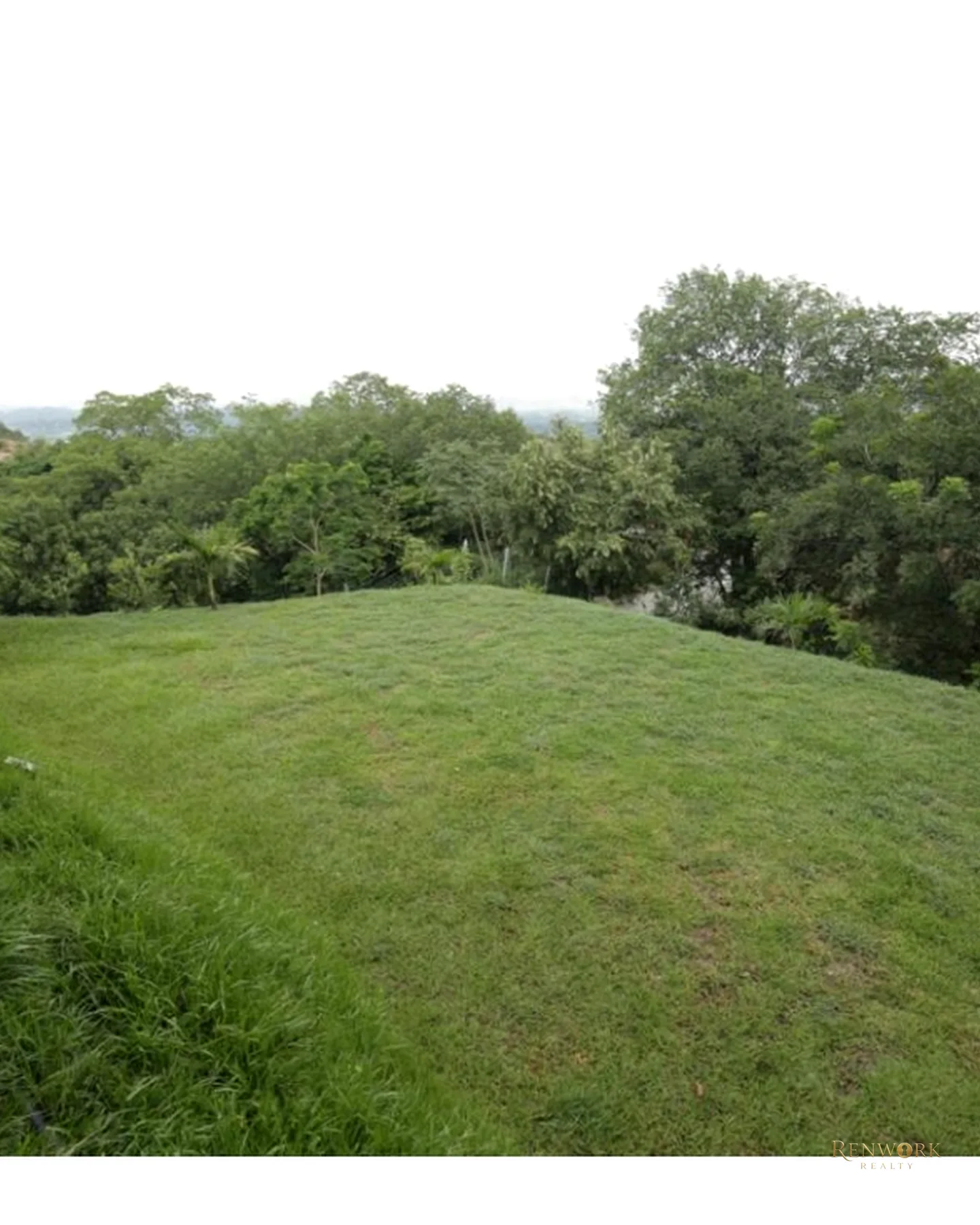 VENCAMBIO FINCA VEREDA CIRUELAR SOPETRAN ANTIOQUIA · foto 21