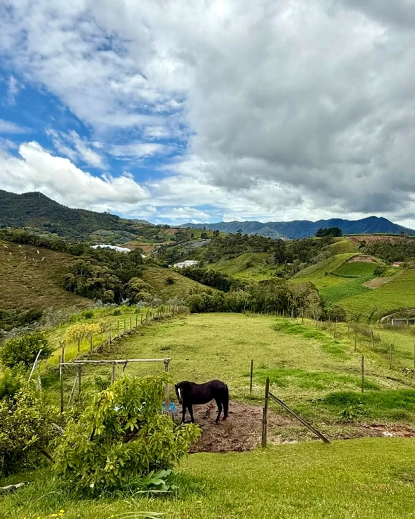 VENCAMBIO FINCA VEREDA LA RIVERA CARMEN DE VIBORAL · foto 21