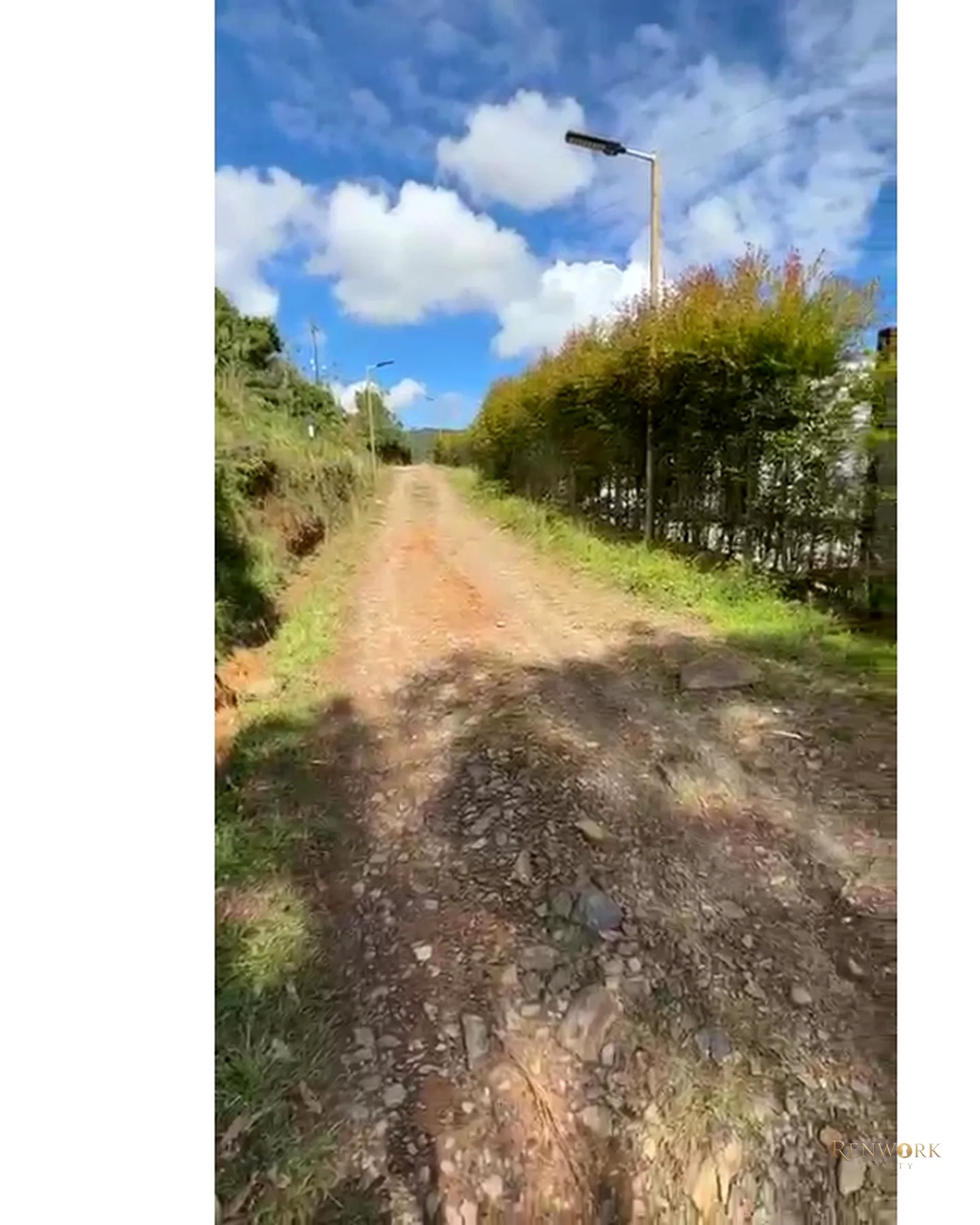 VENCAMBIO SOLO LOTE O + GLAMPING SECTOR LA MAGDALENA, EL PEÑOL · foto 19