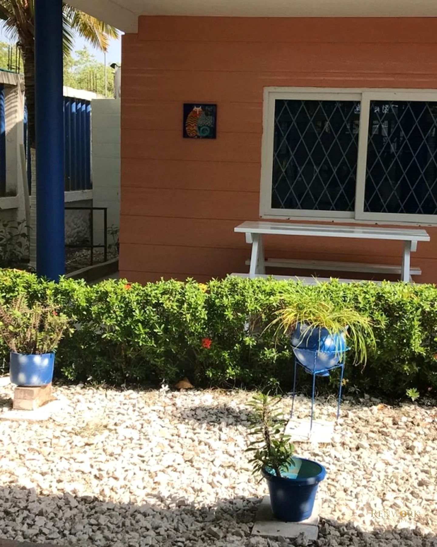 VENDO CABAÑA Y LOTE UBICADO EN COVEÑAS SUCRE · foto 6