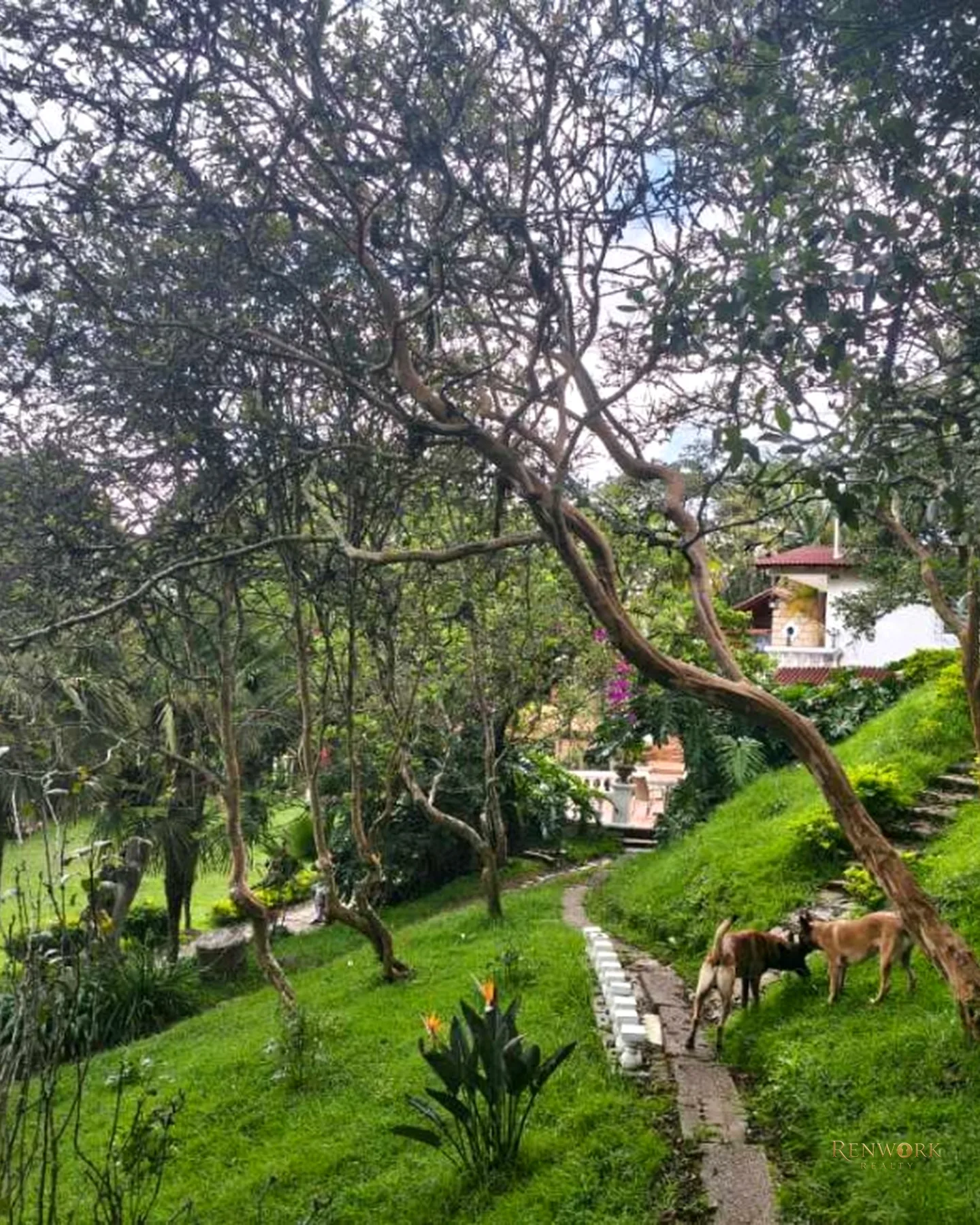 VENDO CONFORTABLE FINCA EN GUARNE PARA EVENTOS Y DEMAS UTILIDADES · foto 13