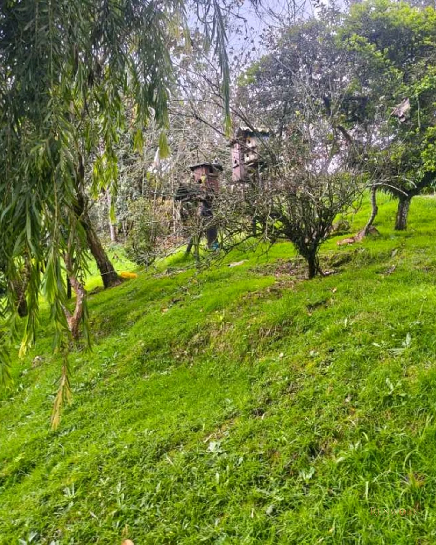 VENDO CONFORTABLE FINCA EN GUARNE PARA EVENTOS Y DEMAS UTILIDADES · foto 12