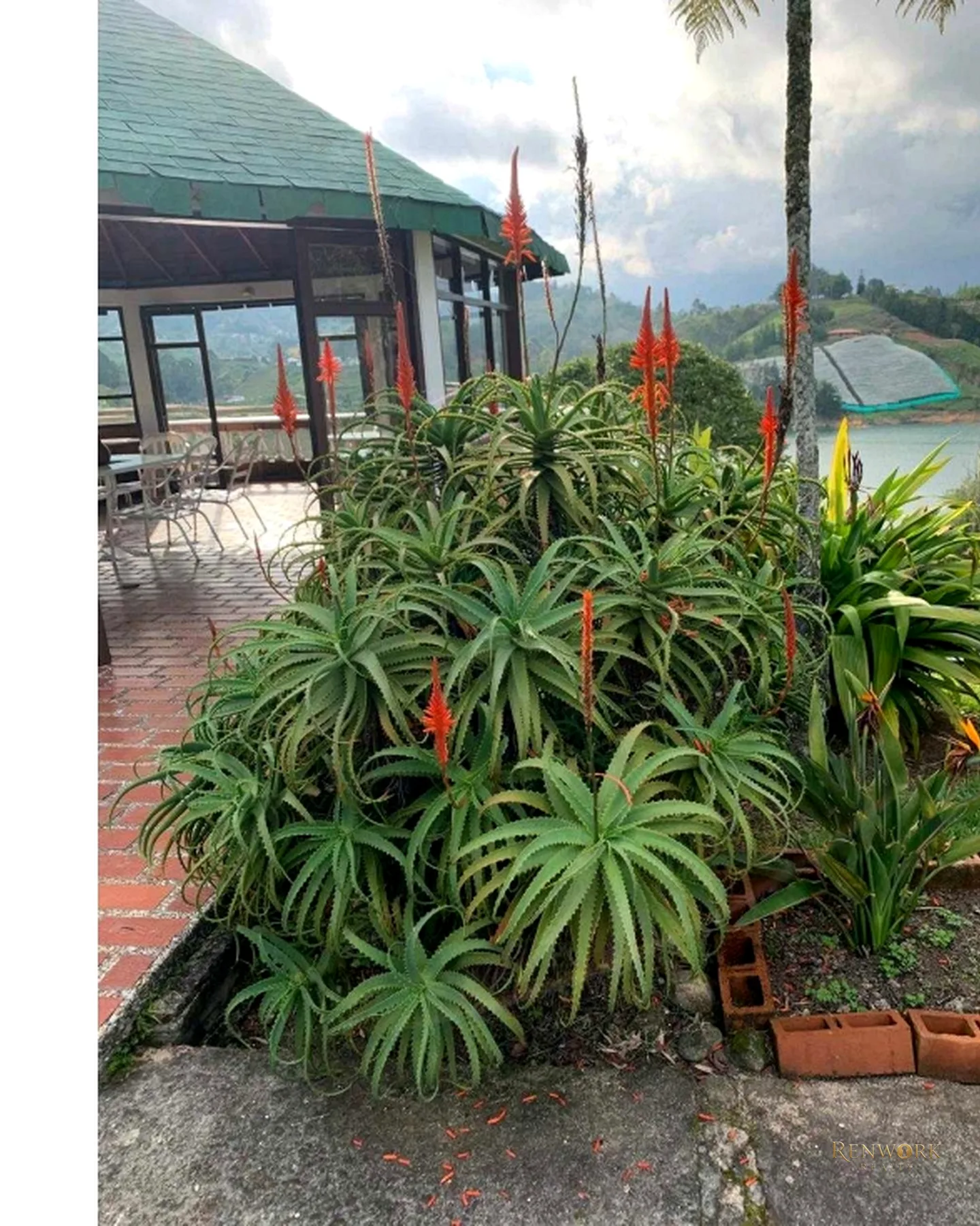 VENDO FINCA GUATAPE,ÁREA DE LOTE 16,194,ÁREA CONSTRUIDA 248.93 · foto 11