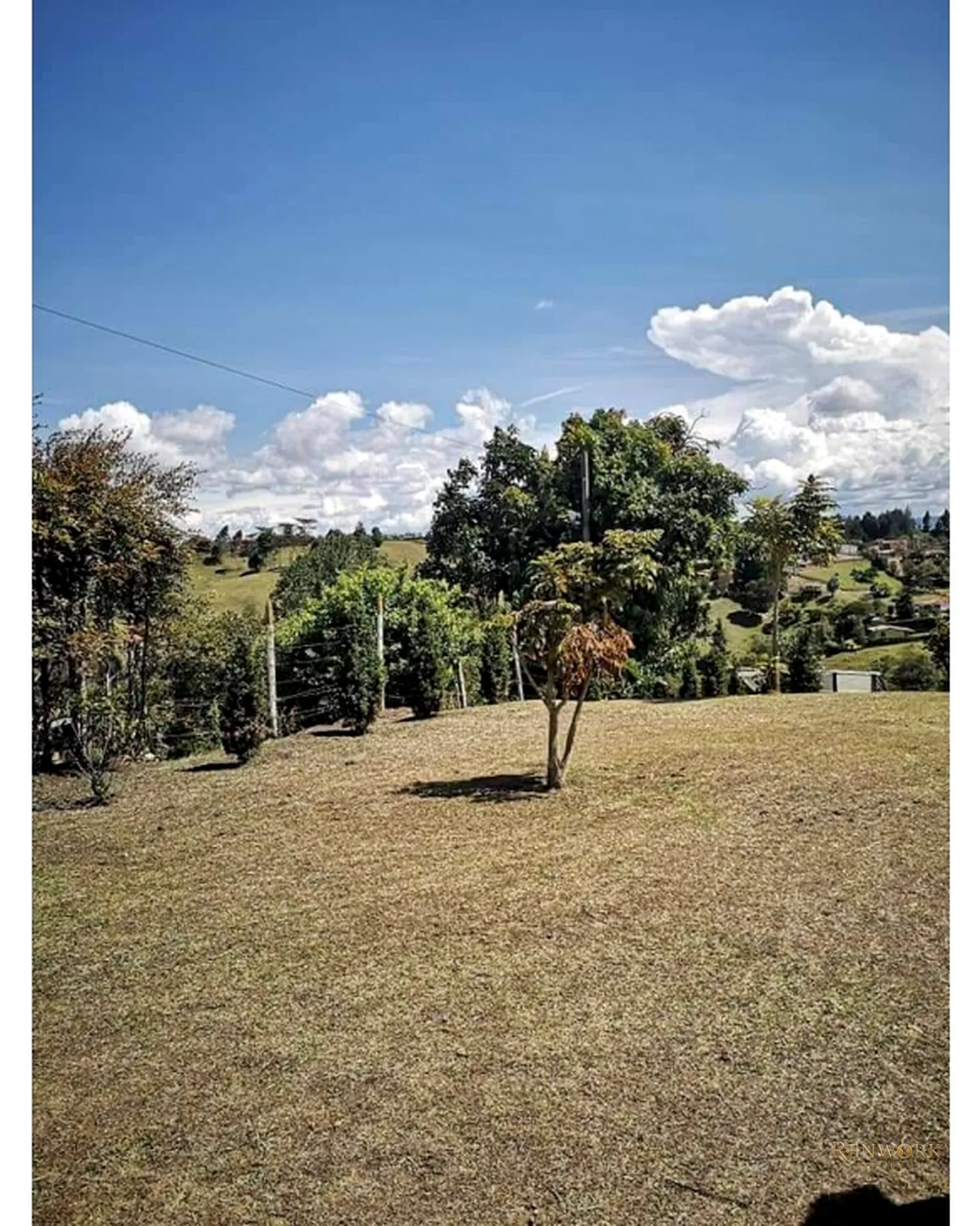 VENDO O PERMUTO FINCA EN RIONEGRO ANTIOQUIA · foto 3