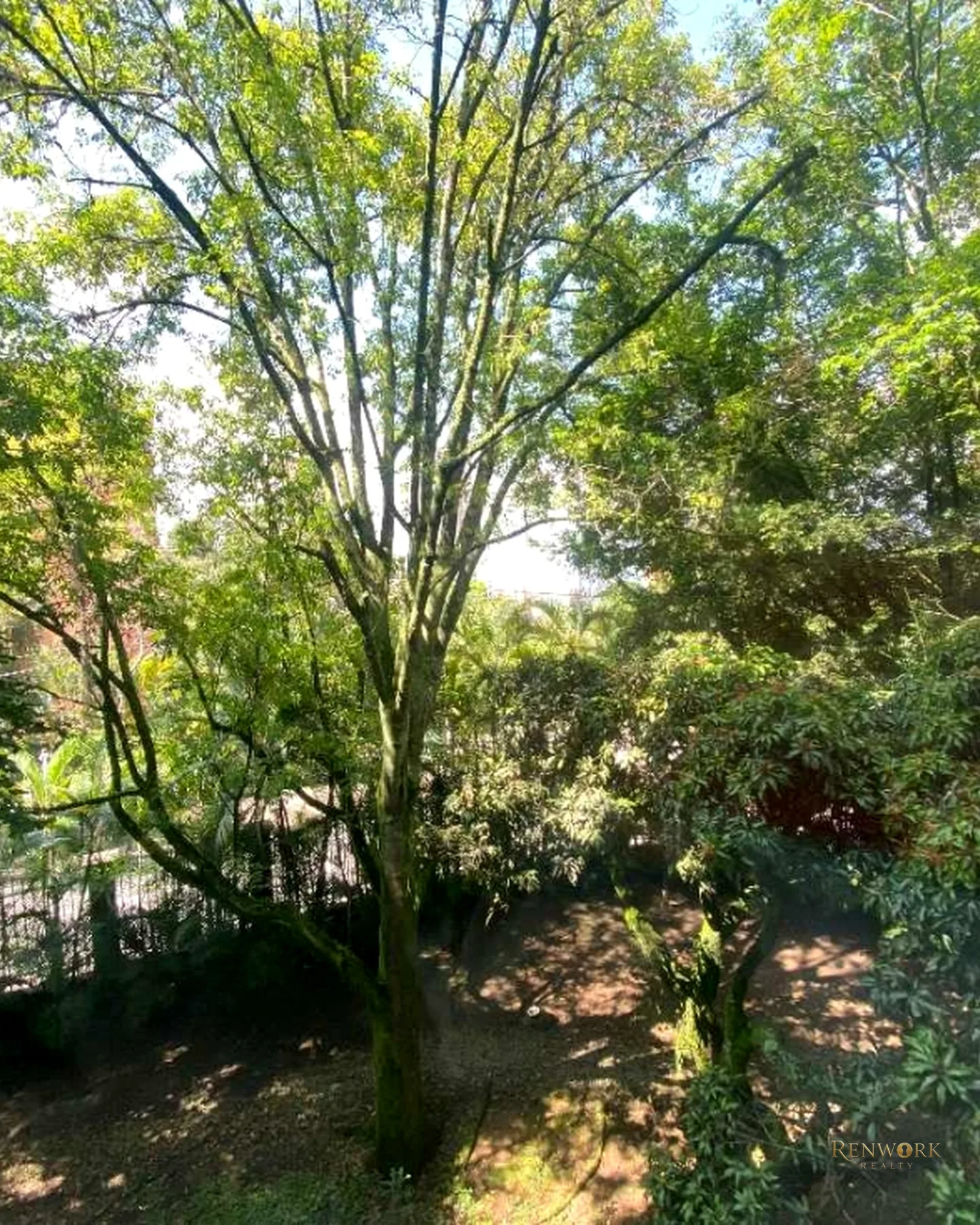 VENTA APARTAMENTO EN EL POBLADO ,4 ALCOBAS,CERCA MUSEO EL CASTILLO! · foto 22