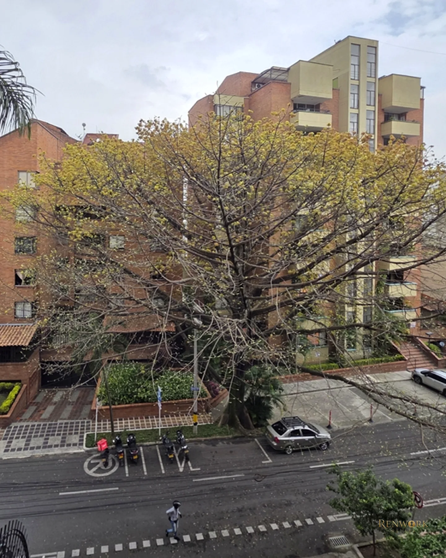 VENTA APARTAMENTO EN LAURELES, ZONA CAMINABLE. EDIFICIO CON PISCINA · foto 18