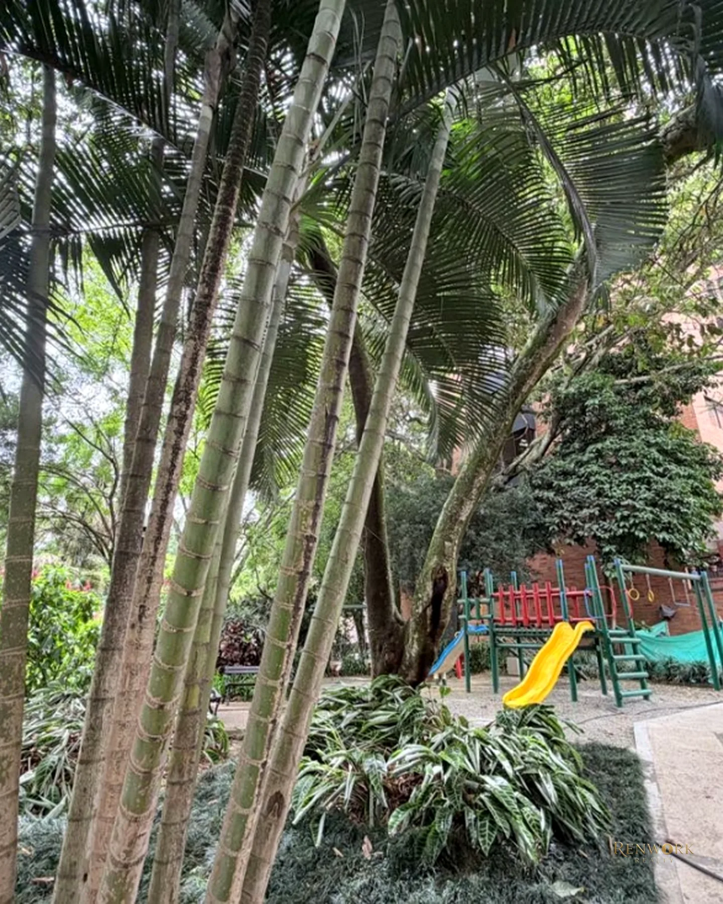 VENTA APARTAMENTO LA TOMATERA 171M2 U COMPLETA · foto 18