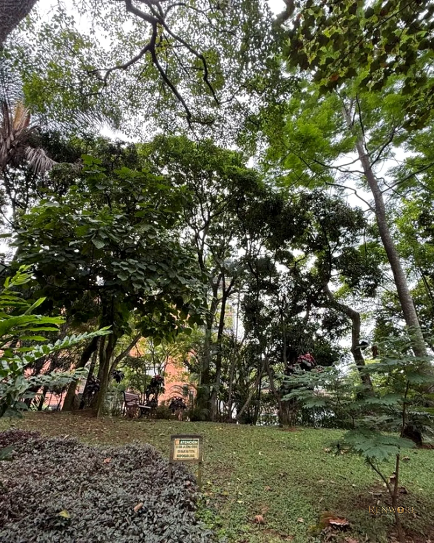 VENTA APARTAMENTO PATIO BONITO 168,38 MTS2 LA MEJOR ZONA ESQUINERO · foto 22